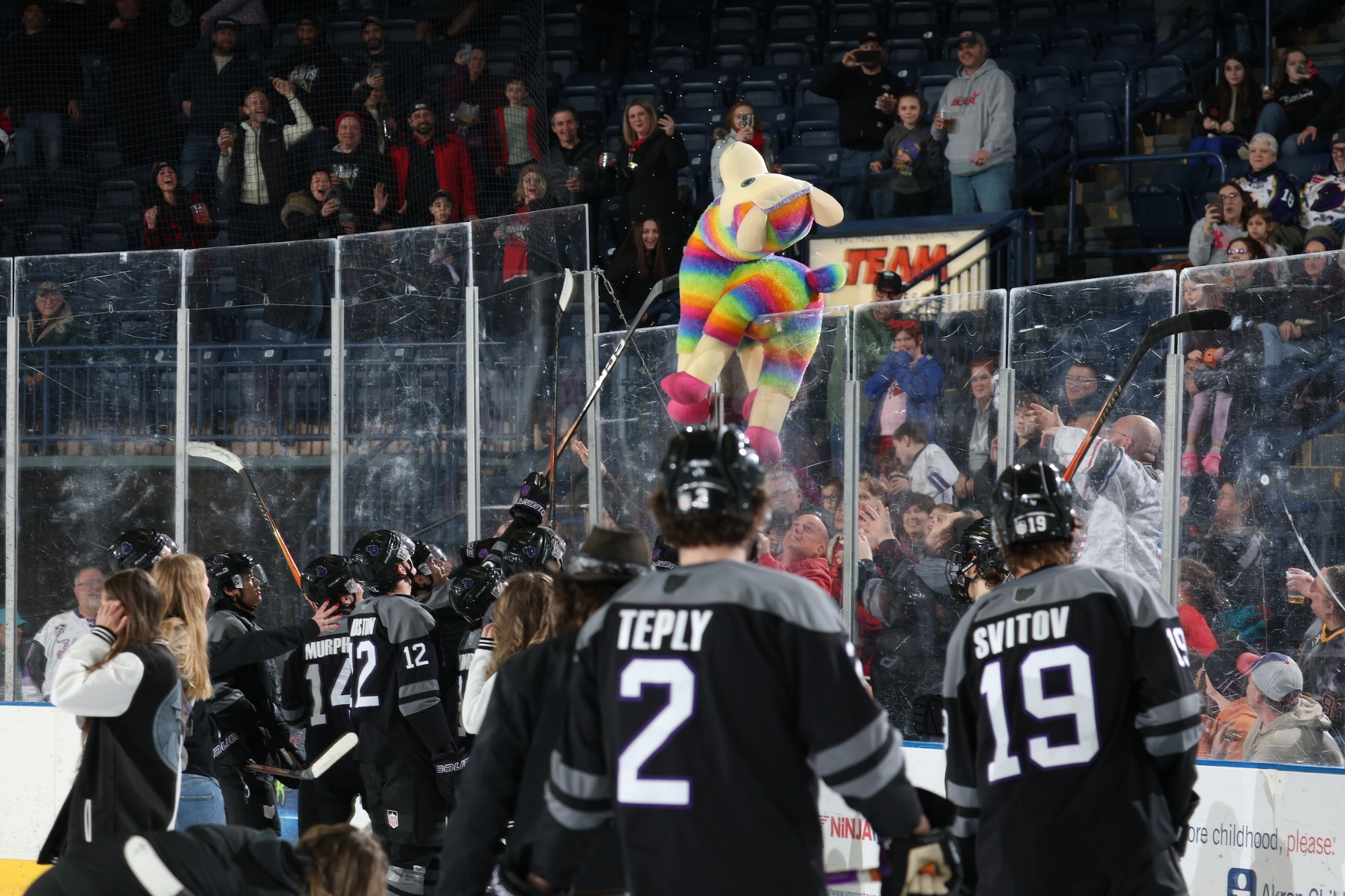 A LARGE STUFFED ANIMAL GETS STUCK ON THE GLASS DURING THE TEDDY BEAR TOSS