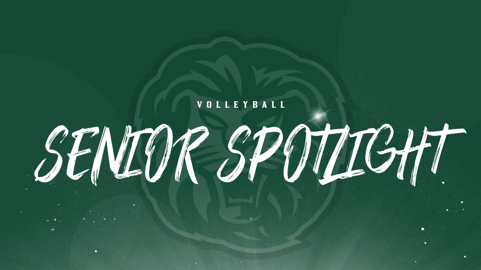 VB - Senior Spotlight Homepage