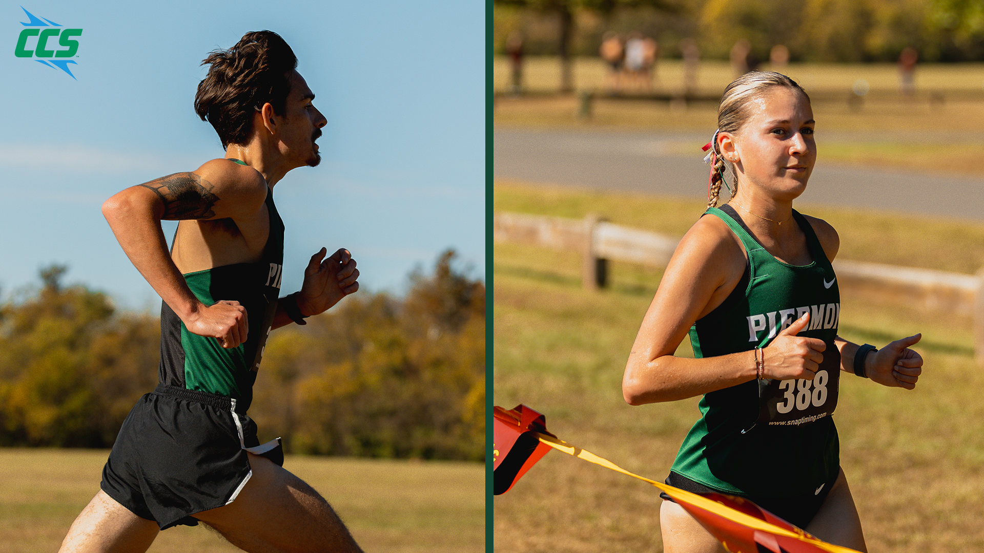 Cross Country 2025 CCS Preview