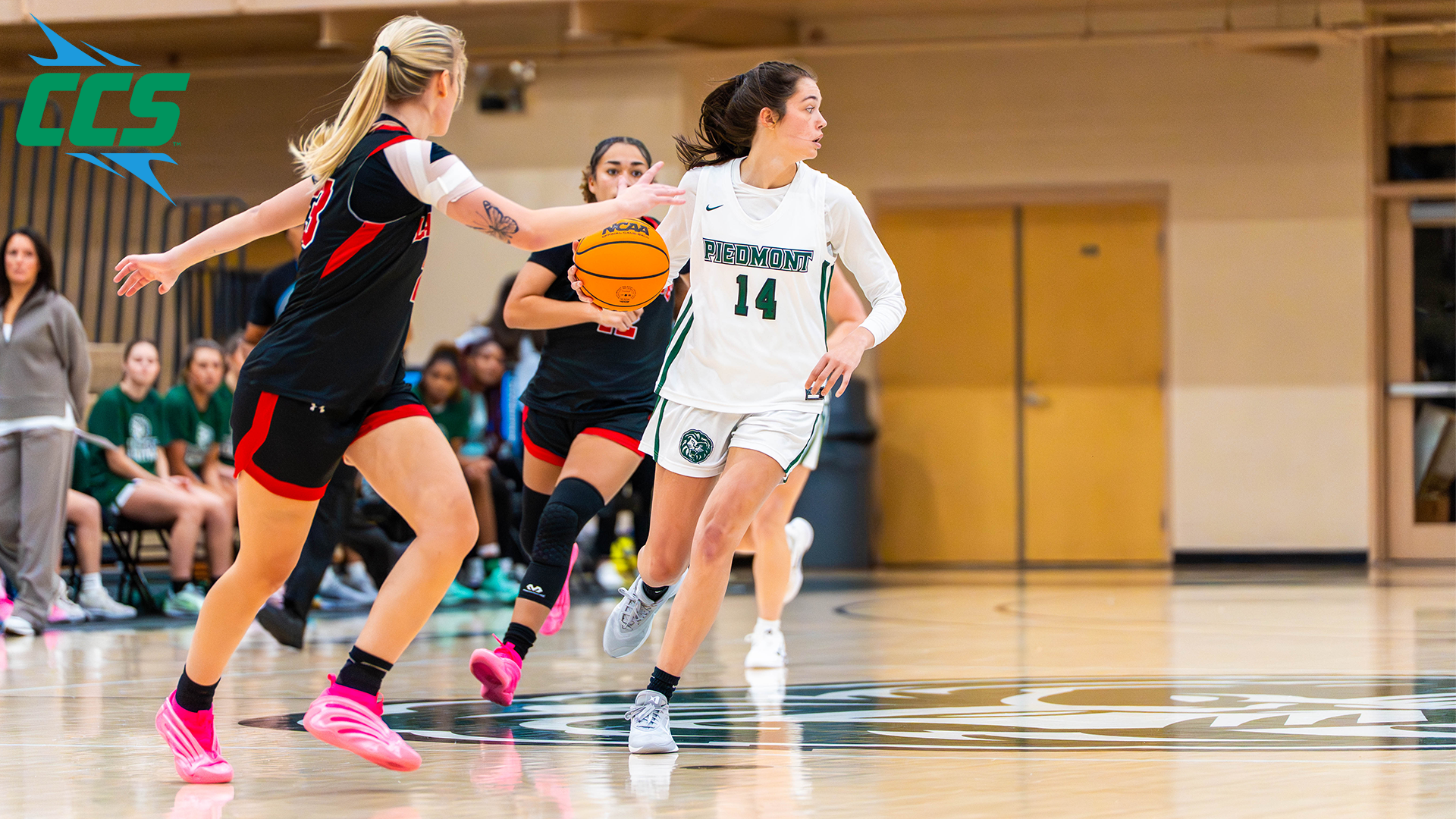 Kylie Watkins - AOTW Homepage 1.12.26