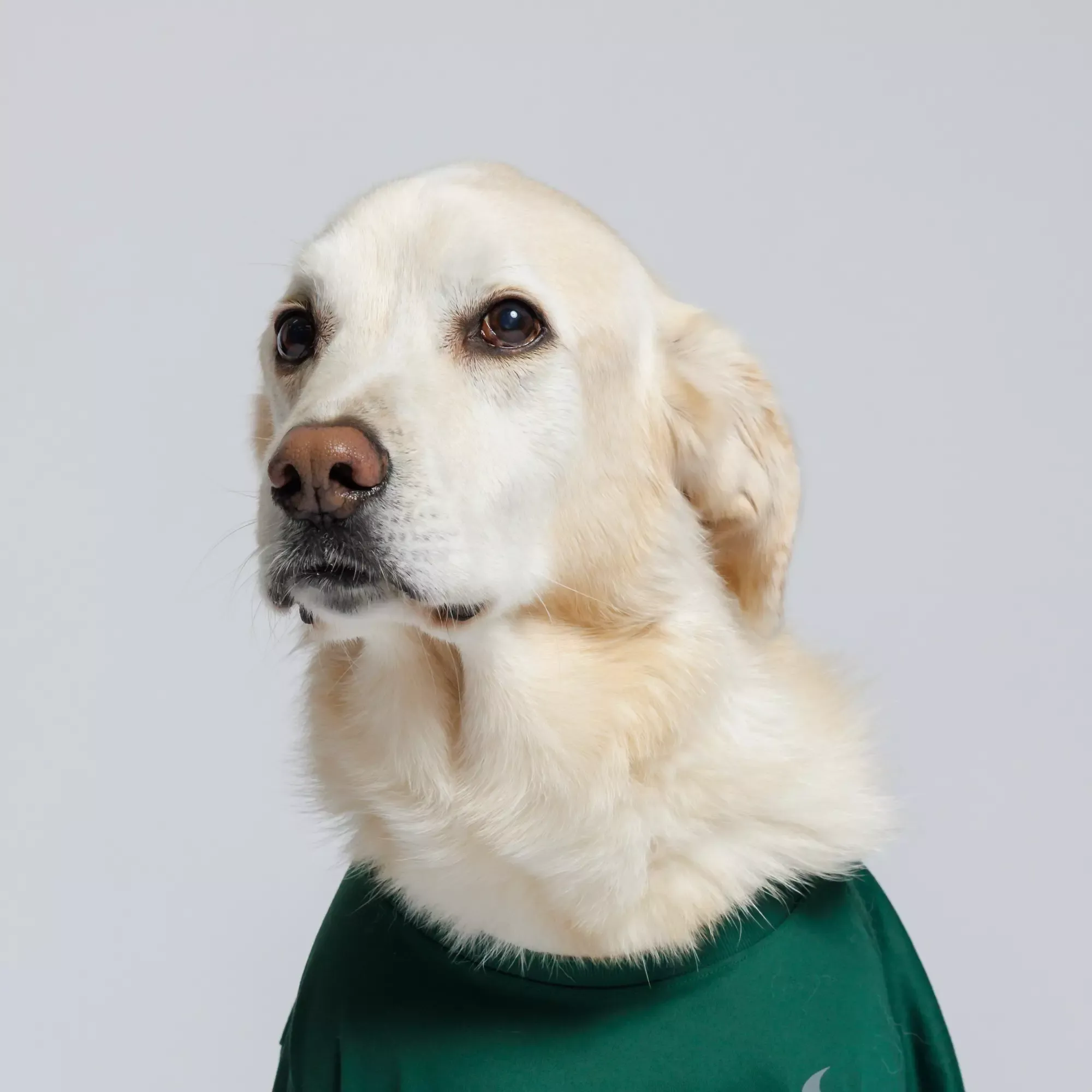 Coach Beans