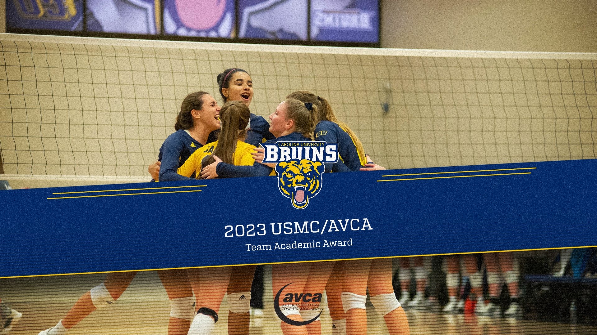 Women's Volleyball Receives AVCA Honors Carolina University Athletics