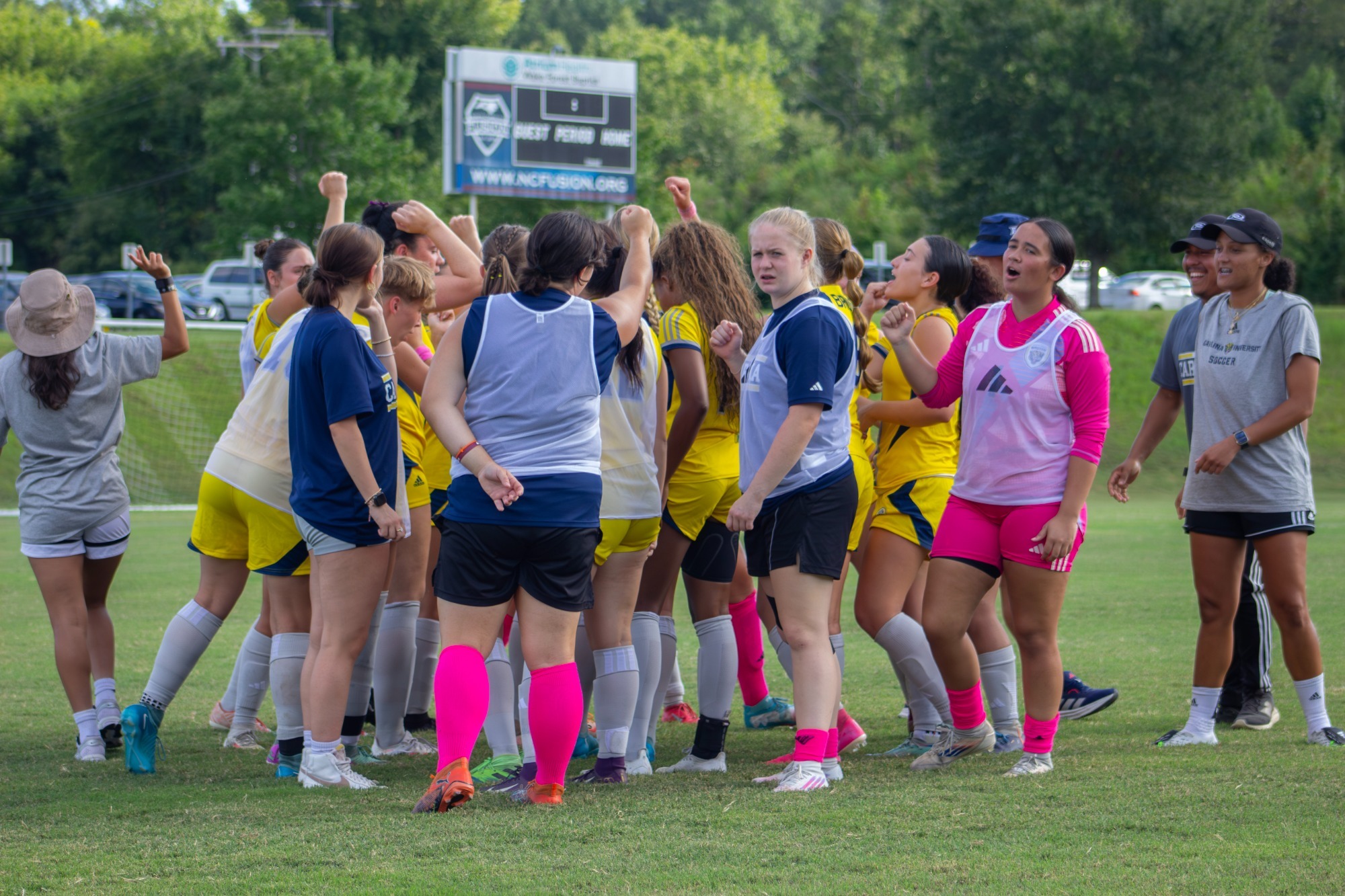 WSO Group celebration