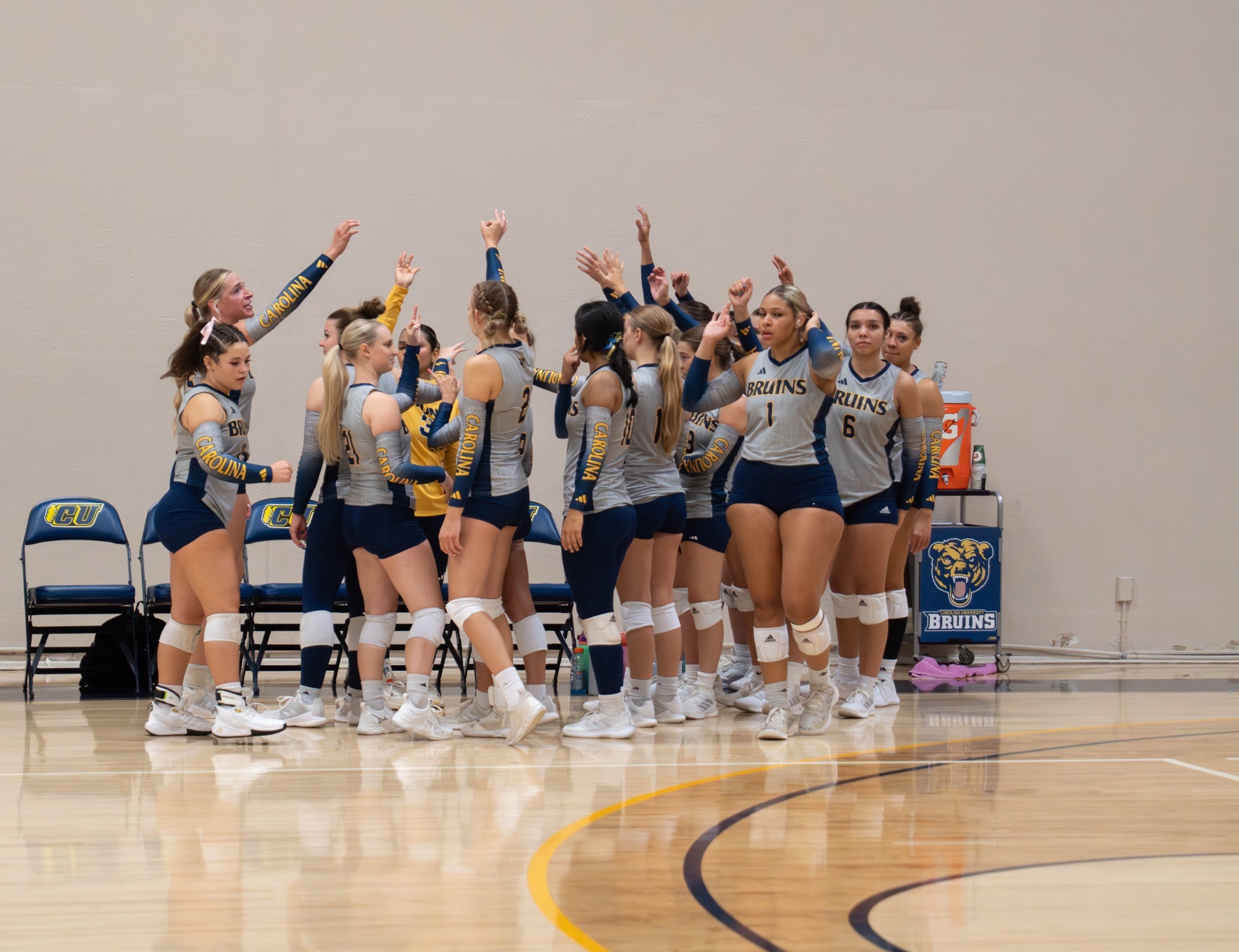 VB Celebration after timeout