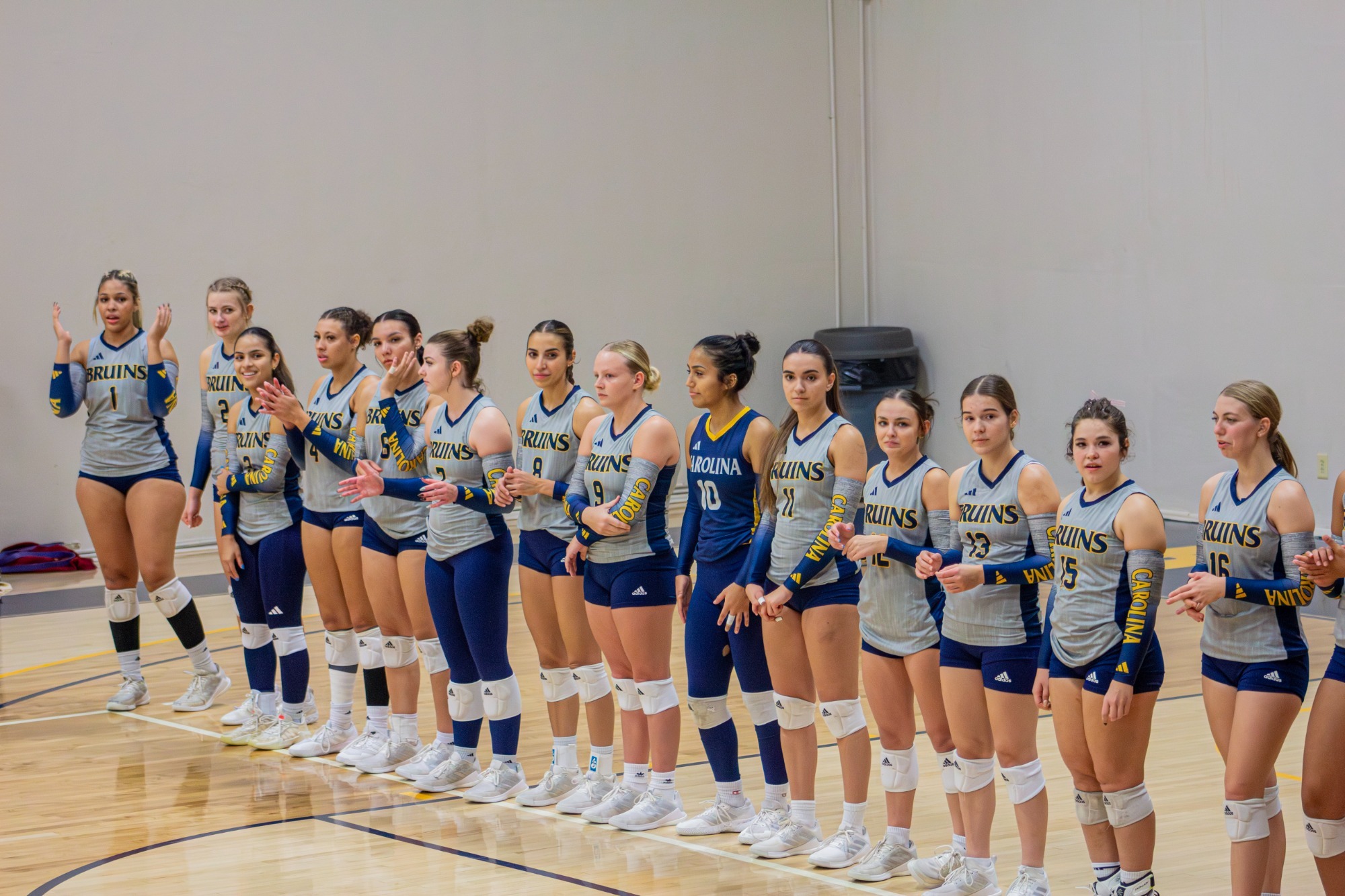 WVB during starting lineups