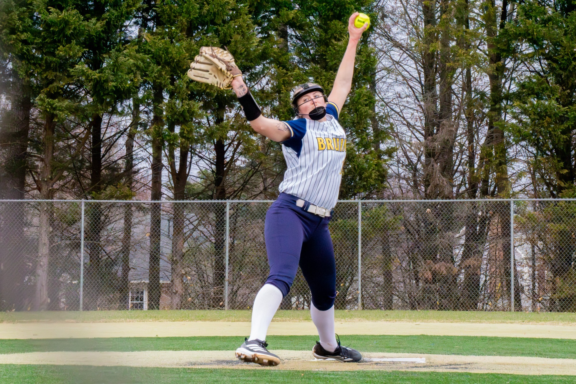 Anni Bergmier pitching