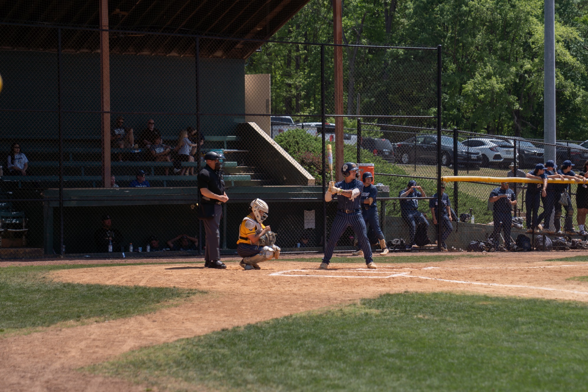 Ty Vespe at bat