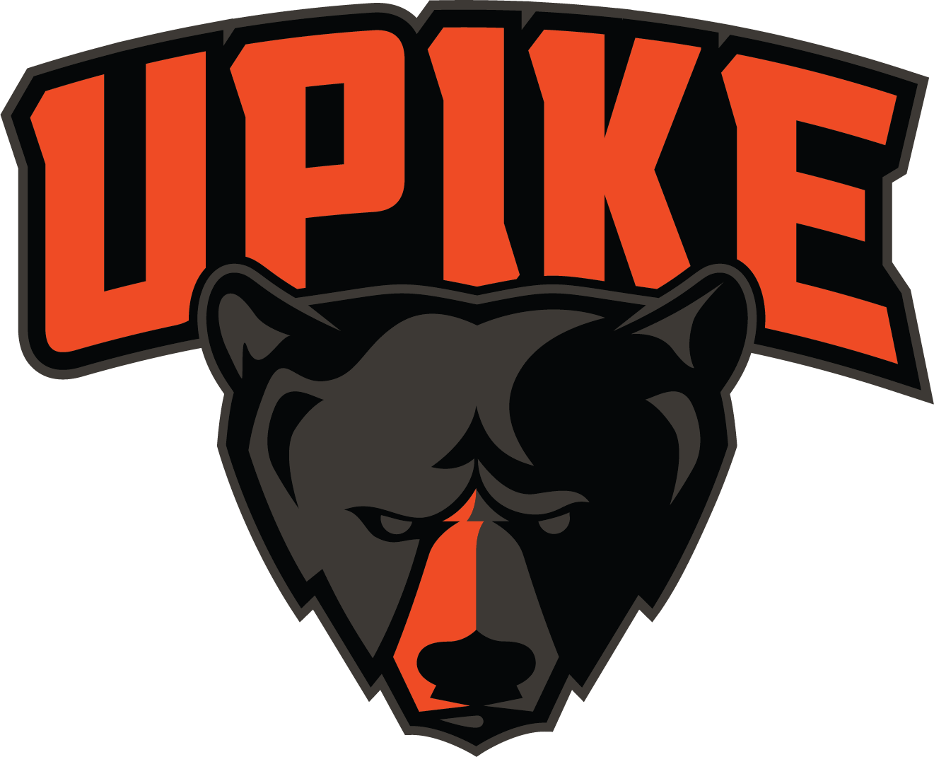 UPIKE Primary Logo