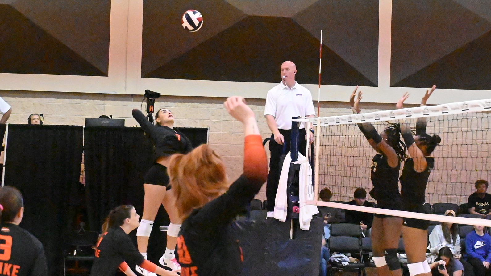 VB -- Alondra swing