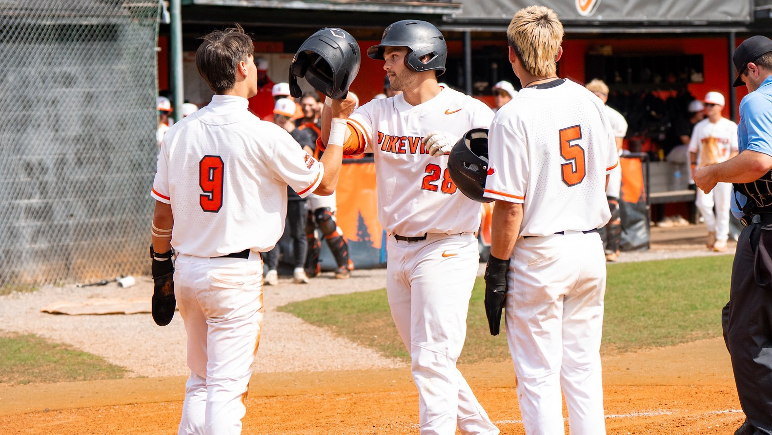 BSB -- Gledhill homer -- BC Sat