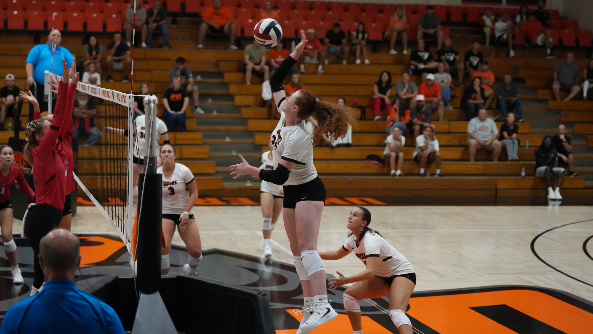 VB -- Jlynn Risner