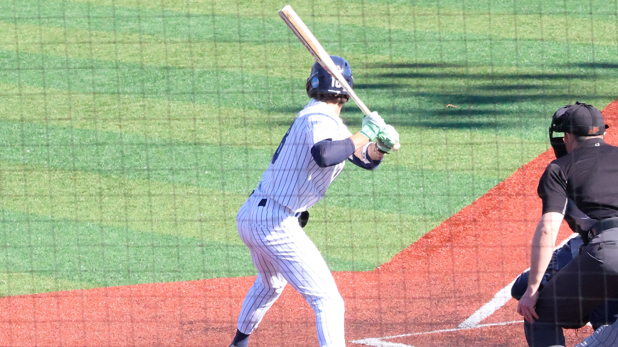 Embrescia_Berry_02282026