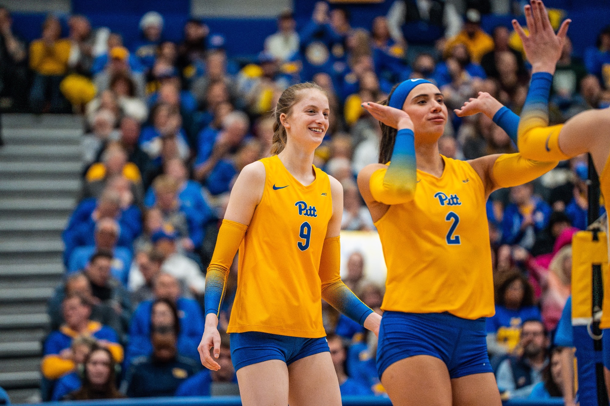 Emma Monks Women's Volleyball Pitt Panthers H2P