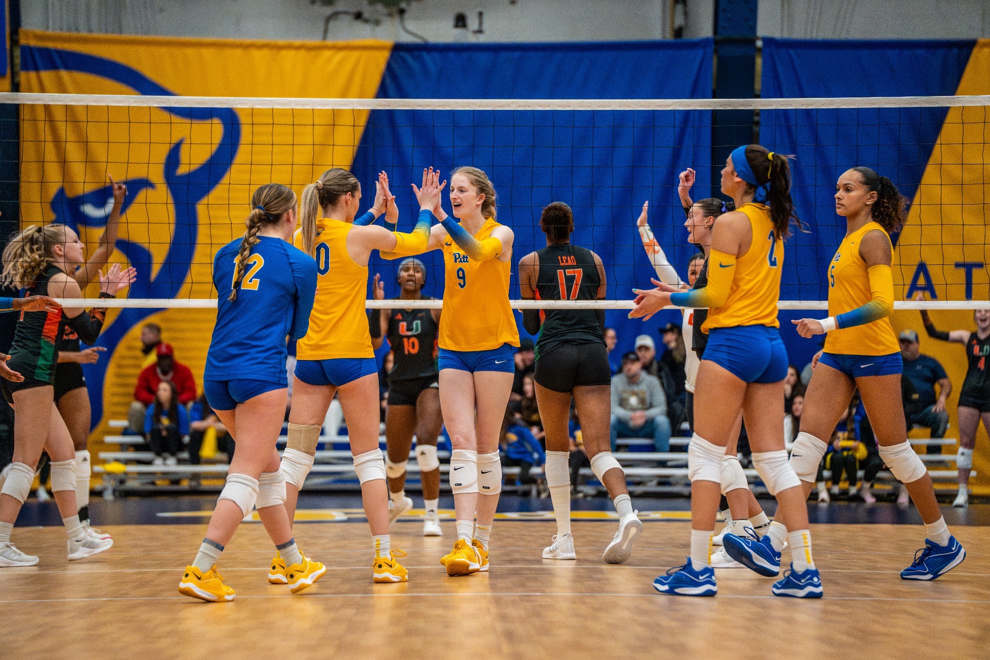 Emma Monks Women's Volleyball Pitt Panthers H2P