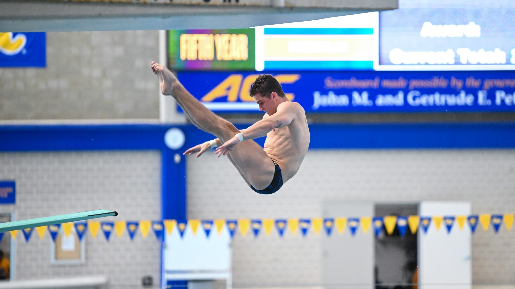 Dylan Reed Swimming & Diving Pitt Panthers H2P