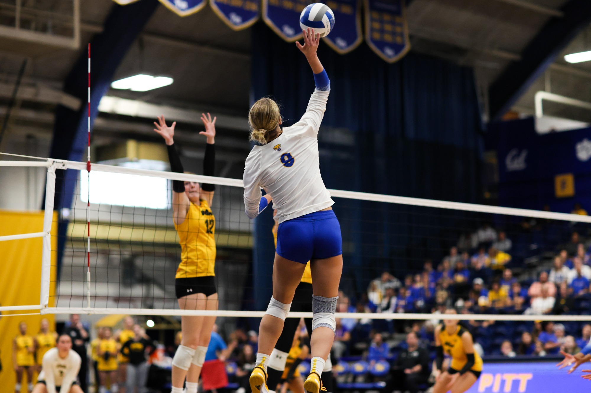 Blaire Bayless headshot