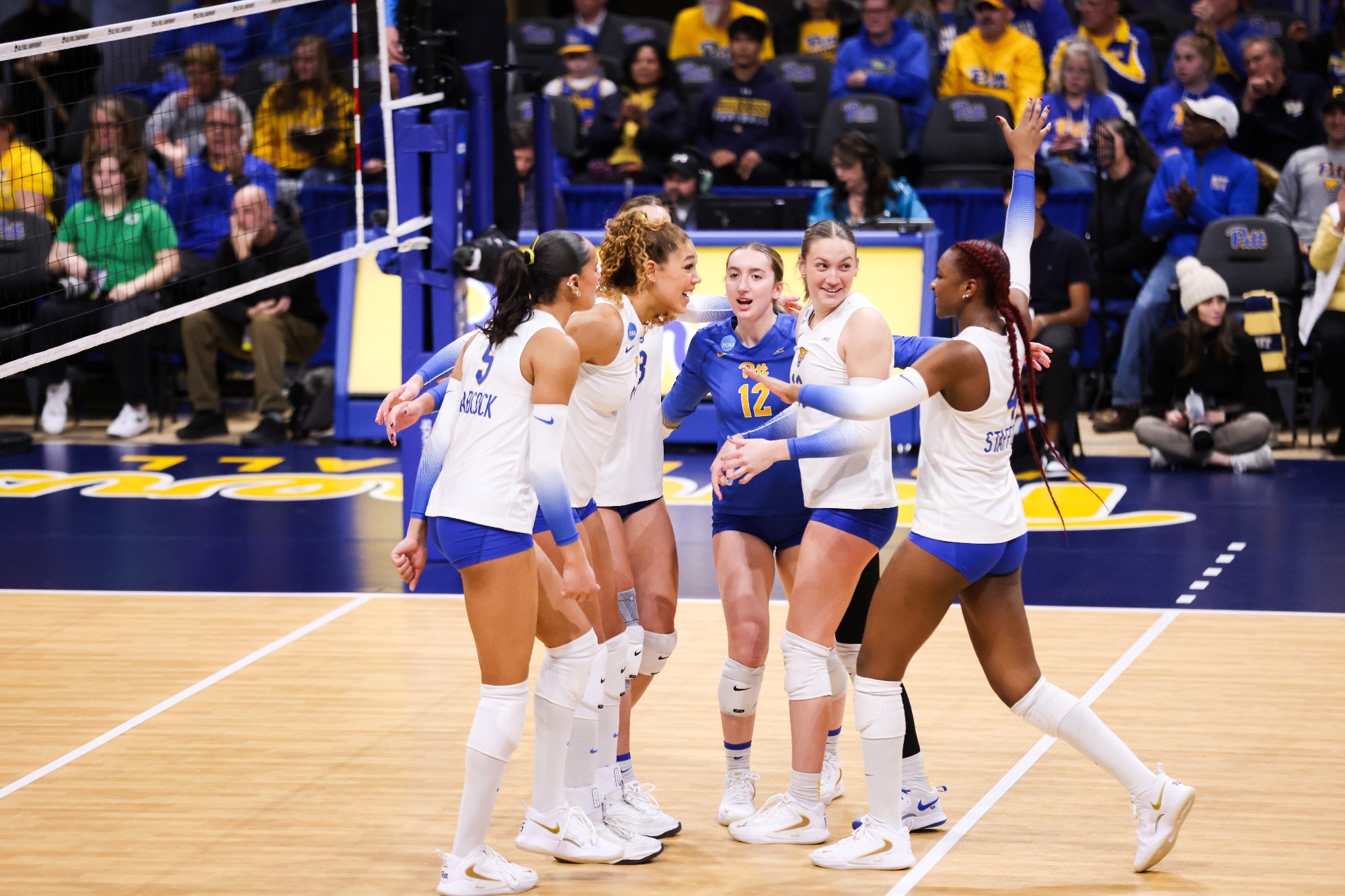 2024 Women's Volleyball Schedule - Pitt Panthers #H2P 2024-women-s-volleyball-schedule-pitt-panthers-h2p