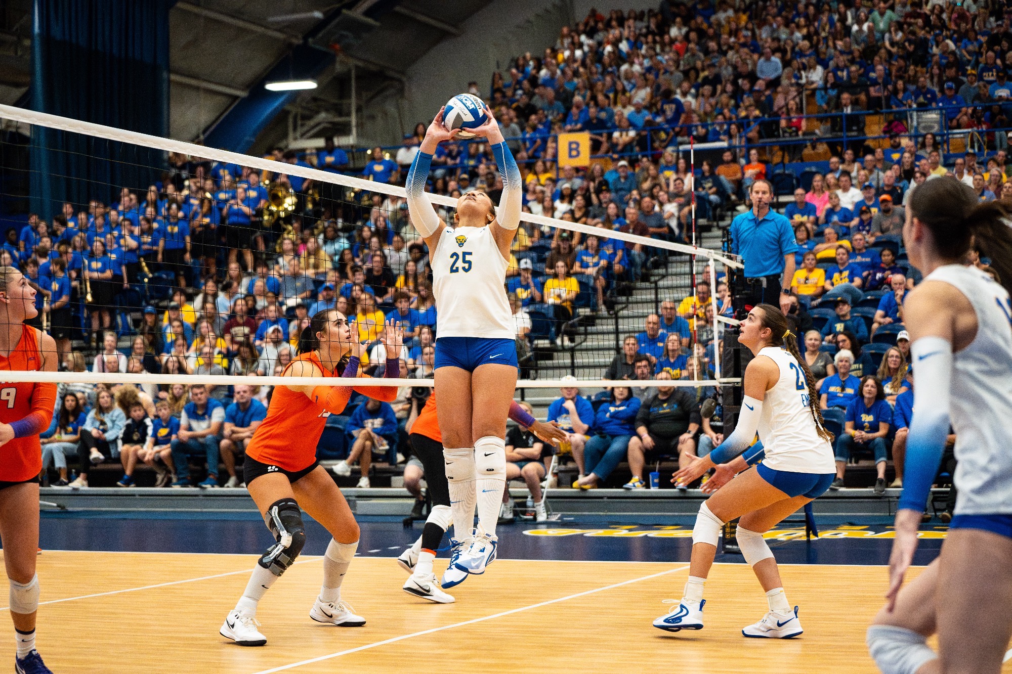 Haiti Tautua'a headshot