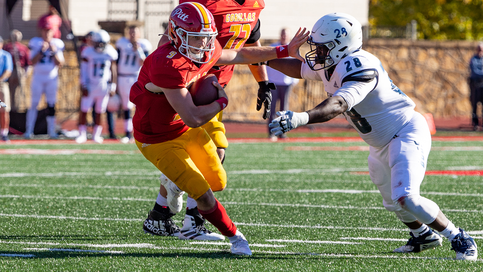 Chad Dodson Jr. 2024 Football Pittsburg State University Athletics