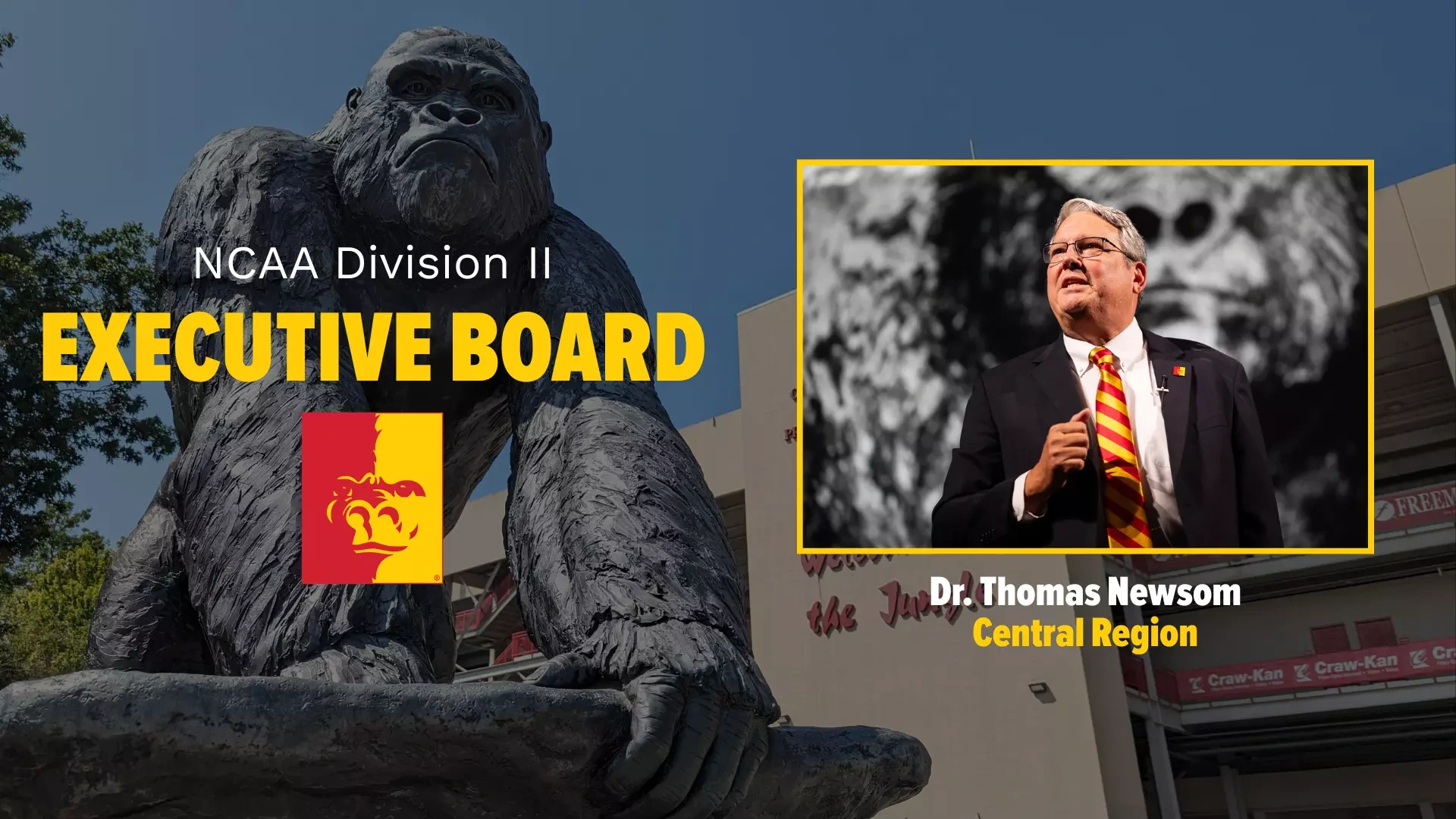 Dr. Newsom NCAA Board Appointment Image