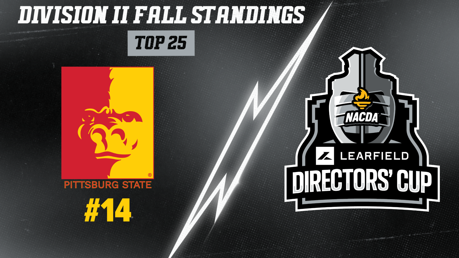 Learfield Fall Standings Image