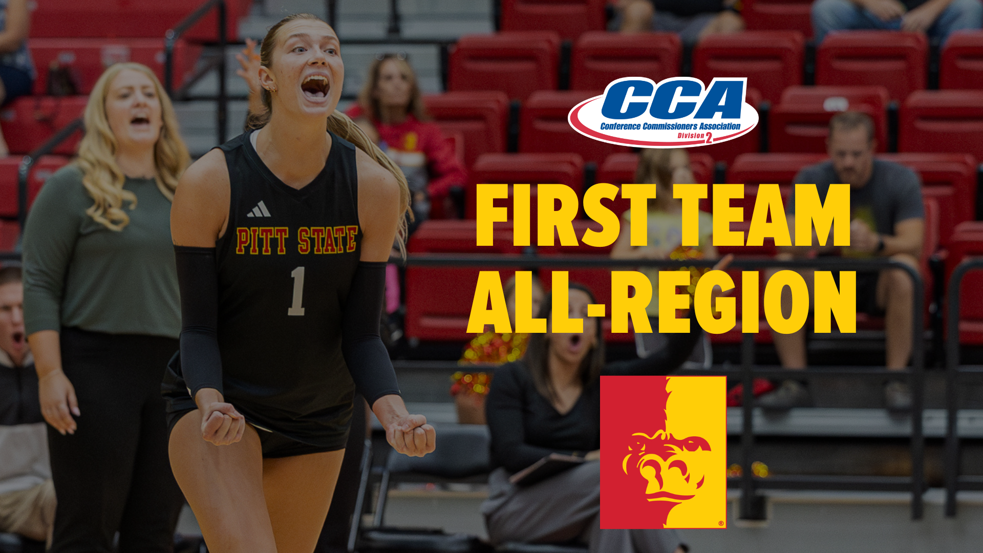 Anna Dean D2CCA All-Region