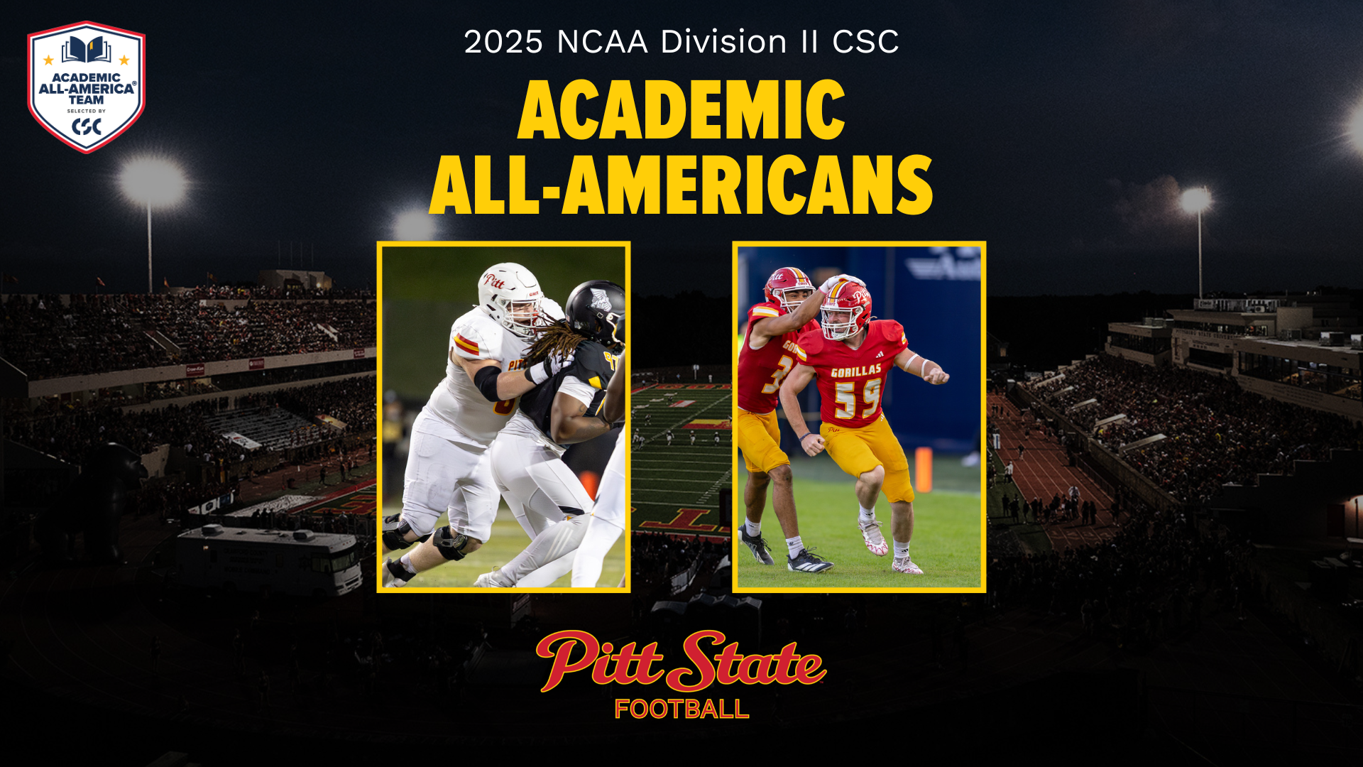 Academic All-America Football Image