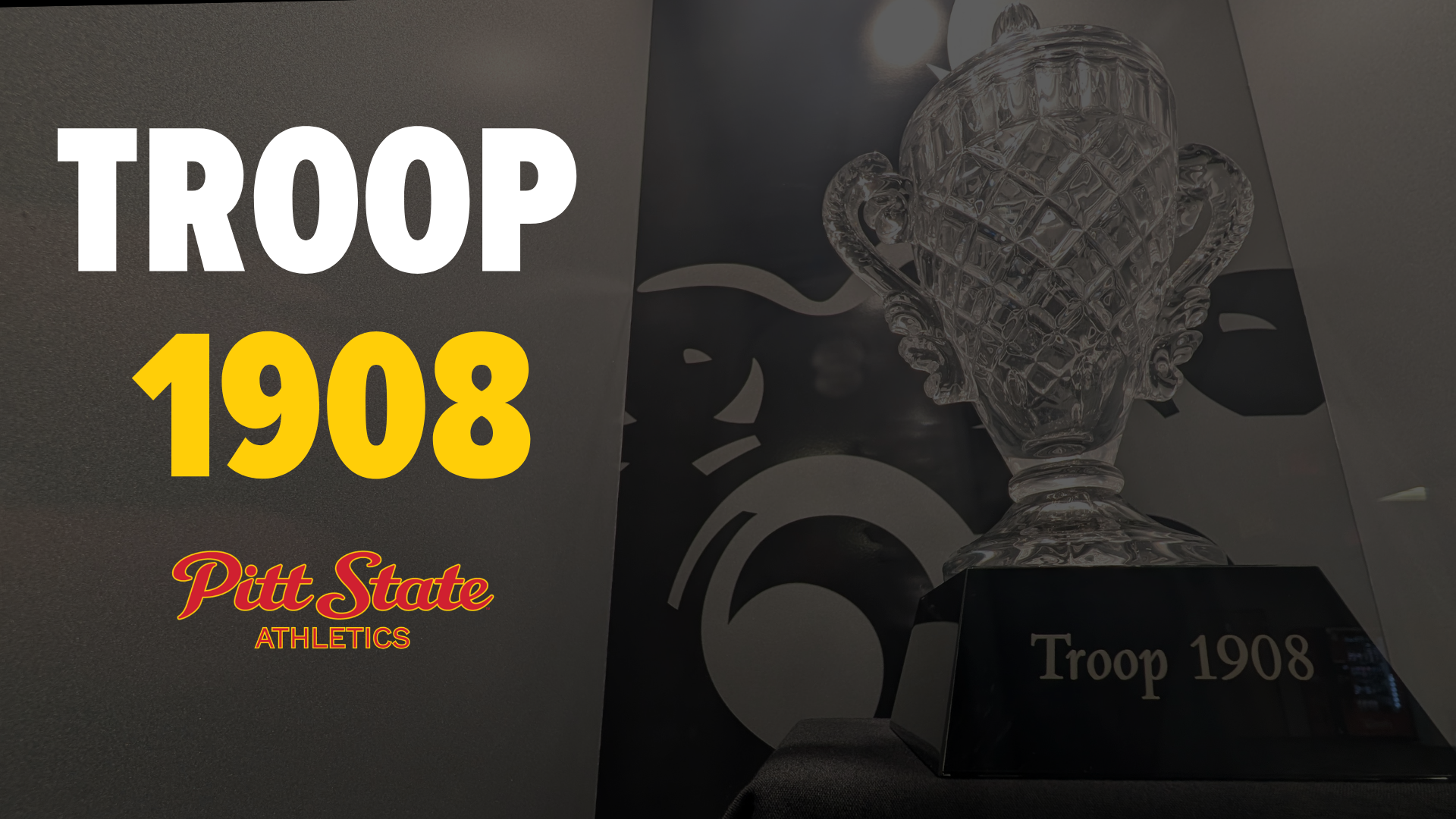 Troop 1908 Award Image