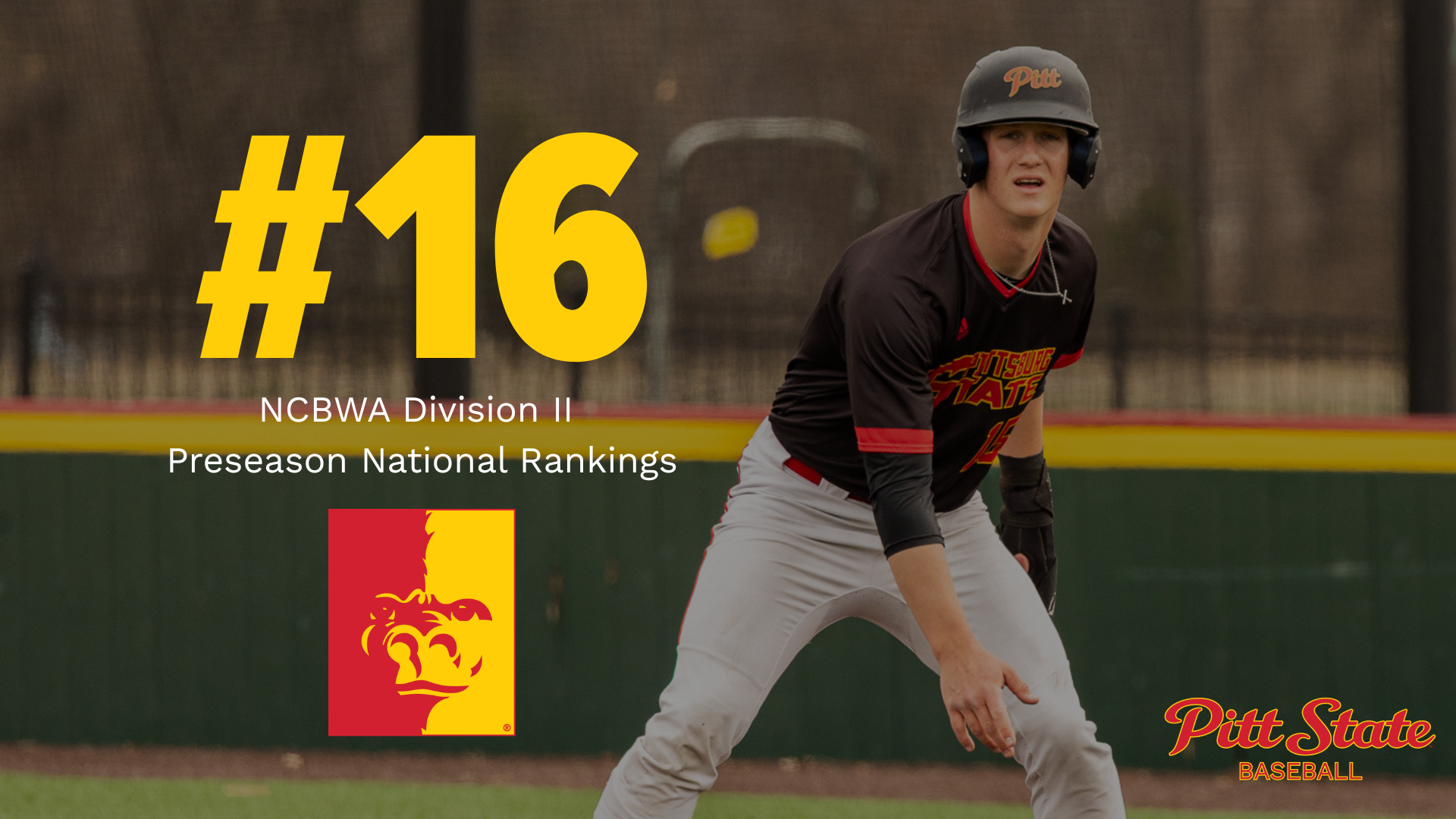 NCBWA Top 25 Poll Image