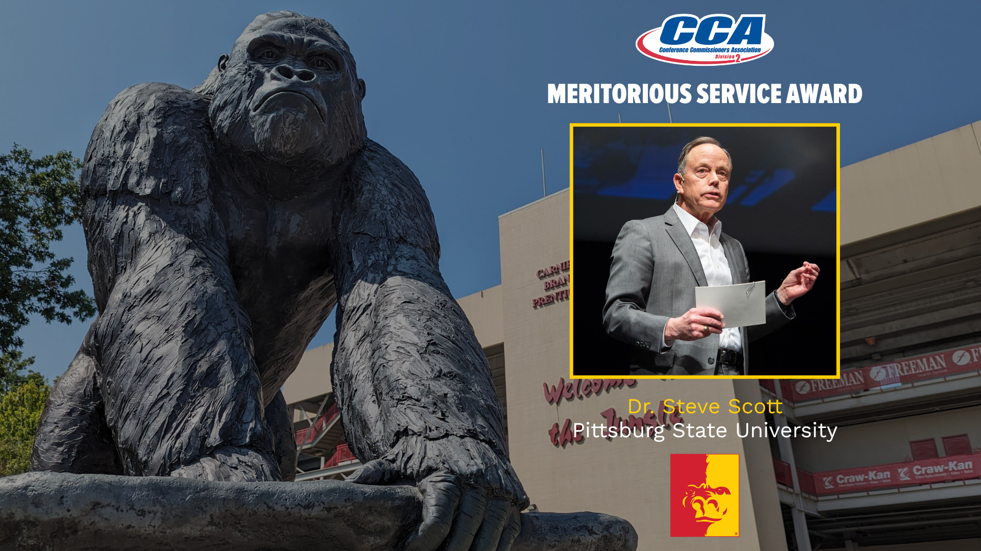 Steve Scott D2CCA Meritorious Service Award