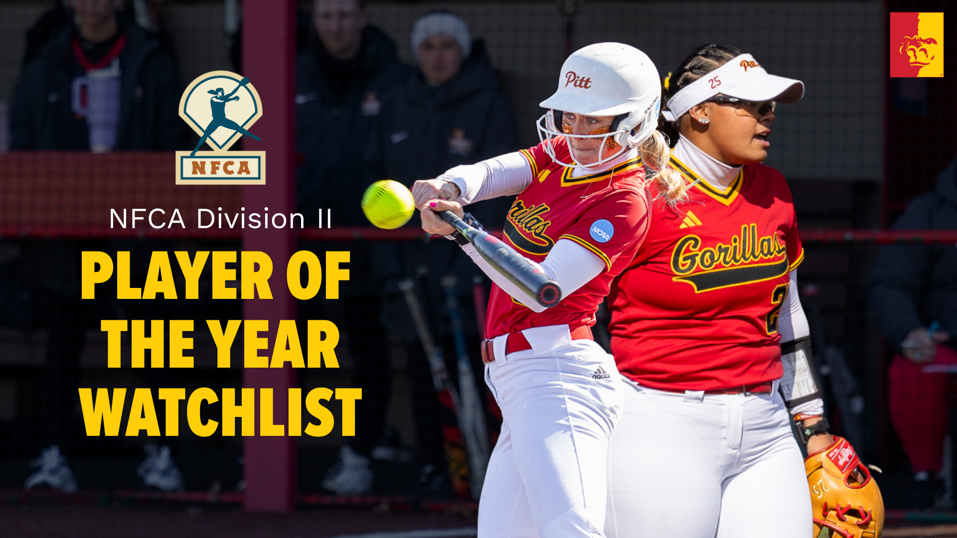 2026 NFCA Player of the Year Watchlist