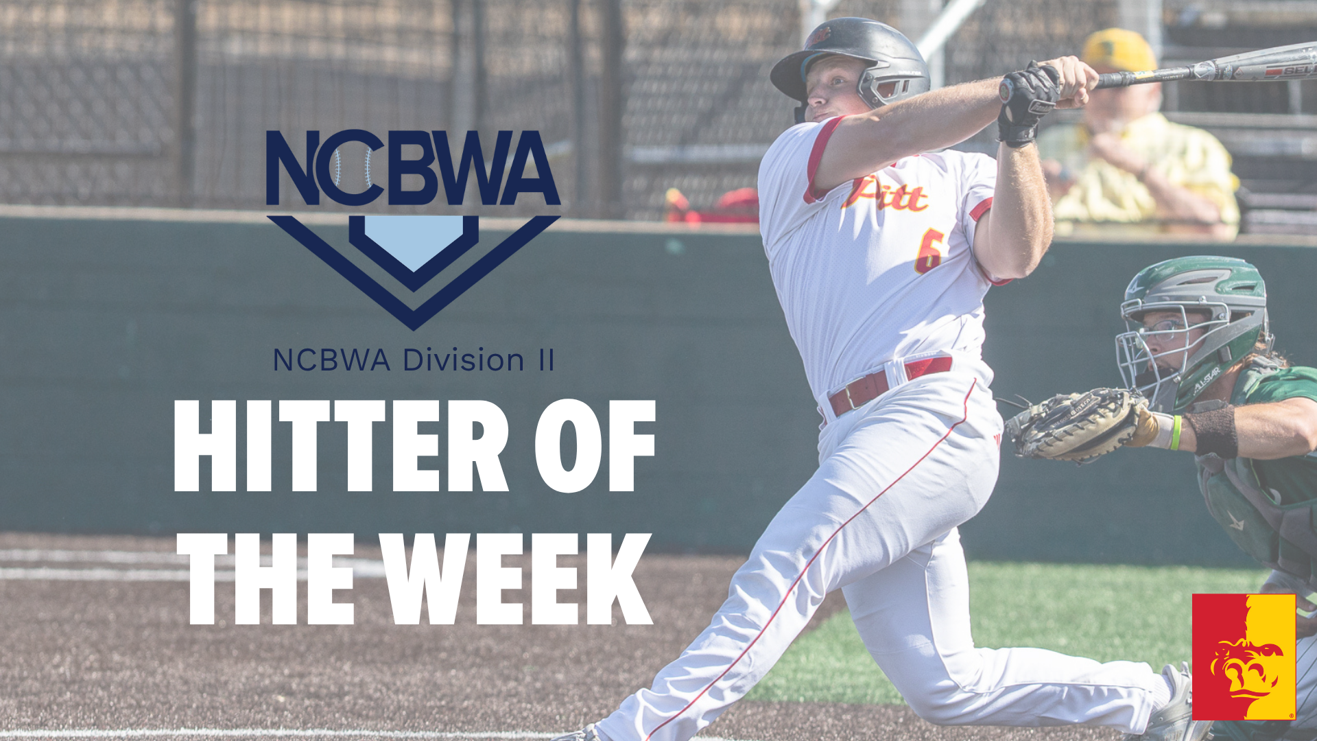 NCAA-II National Hitter of the Week Image