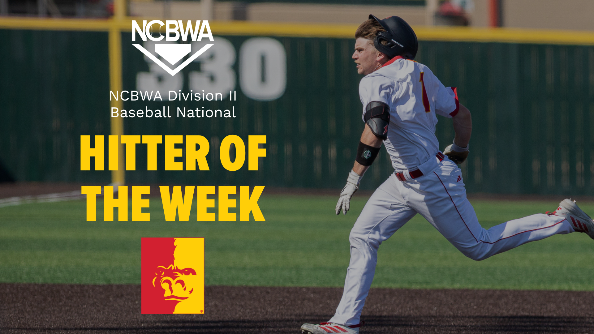 Cooper Wesslund National Hitter Award Image