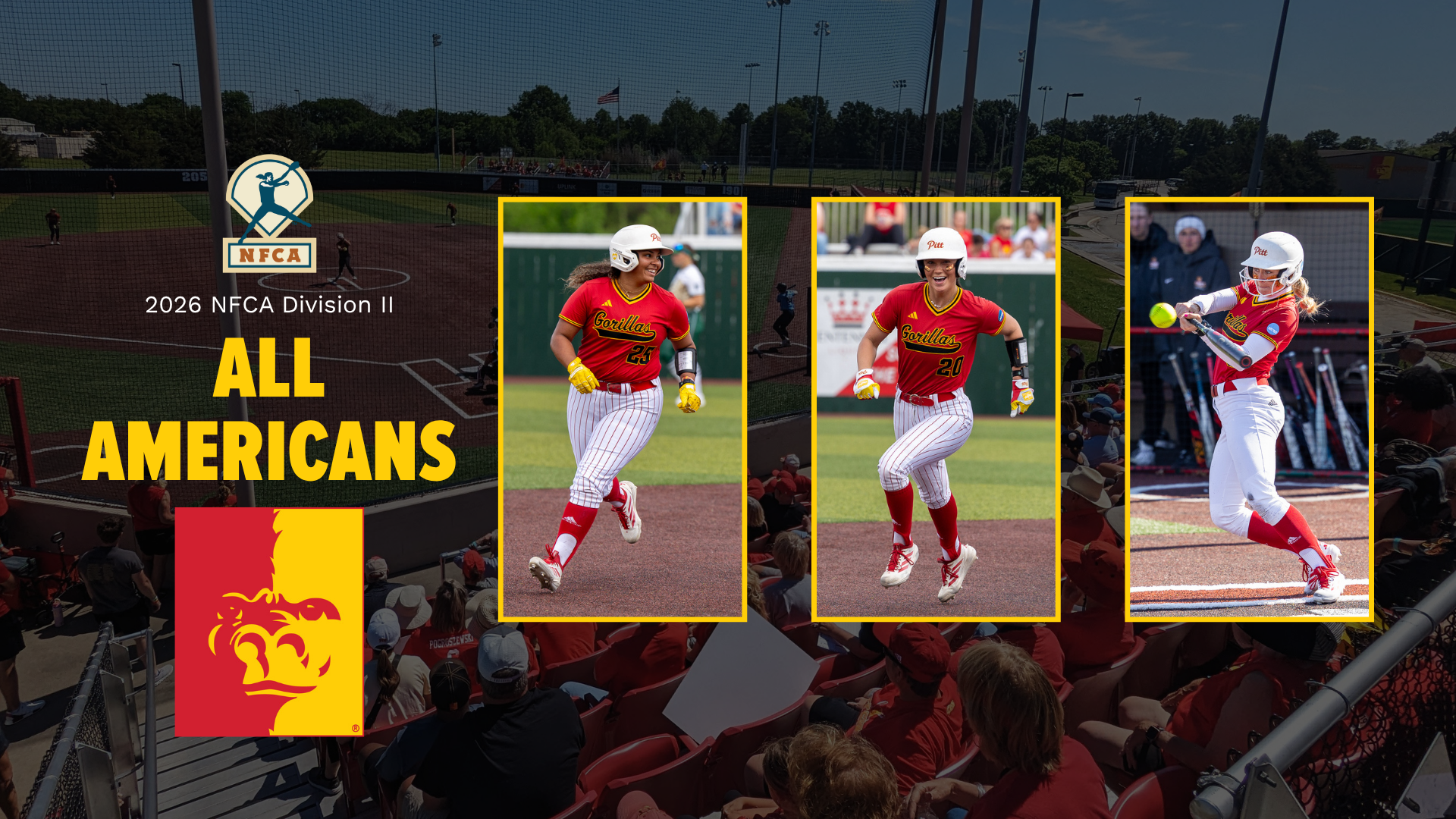 2026 NFCA All-Americans