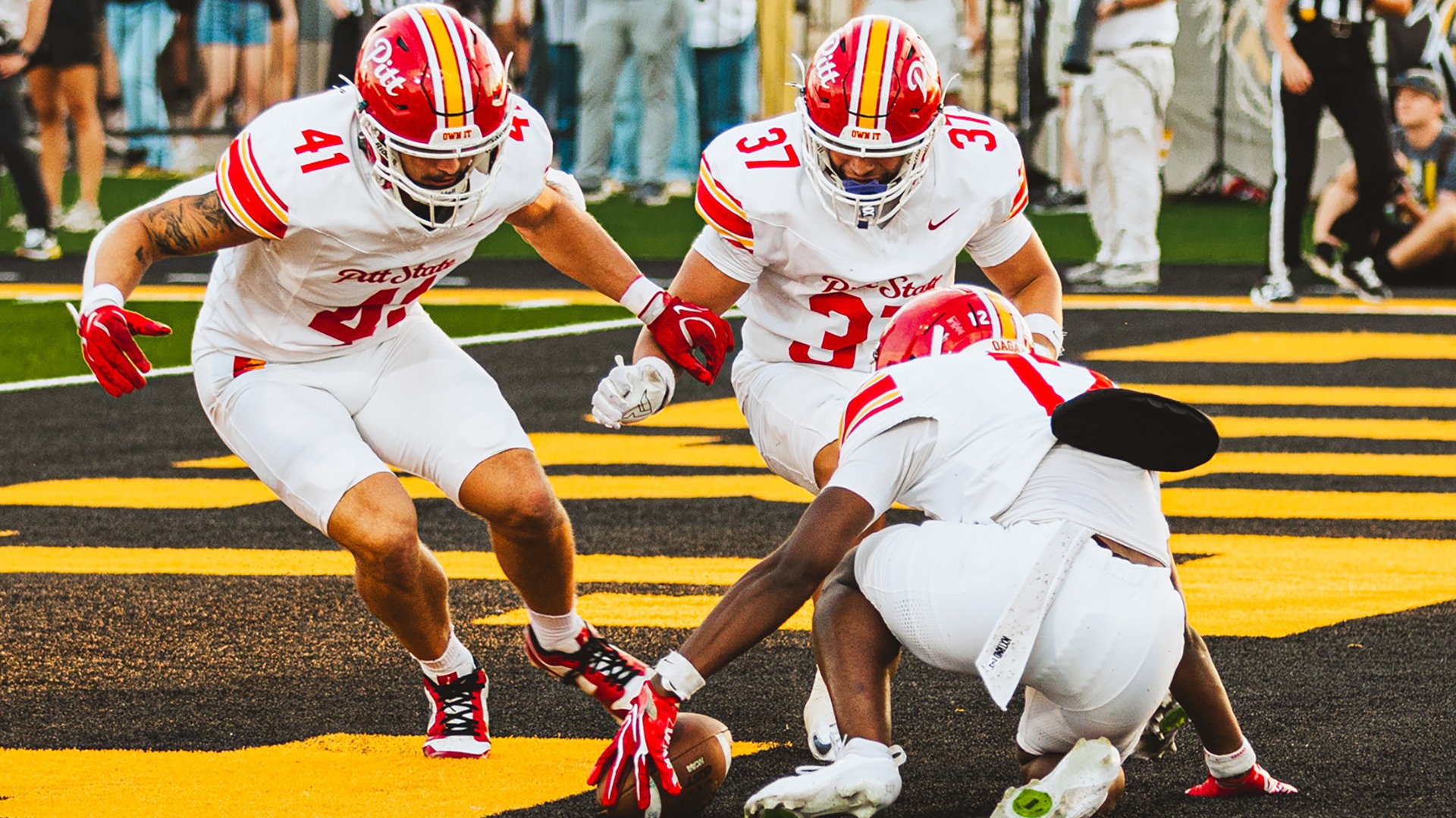 Boyd Wehner Guinn Action