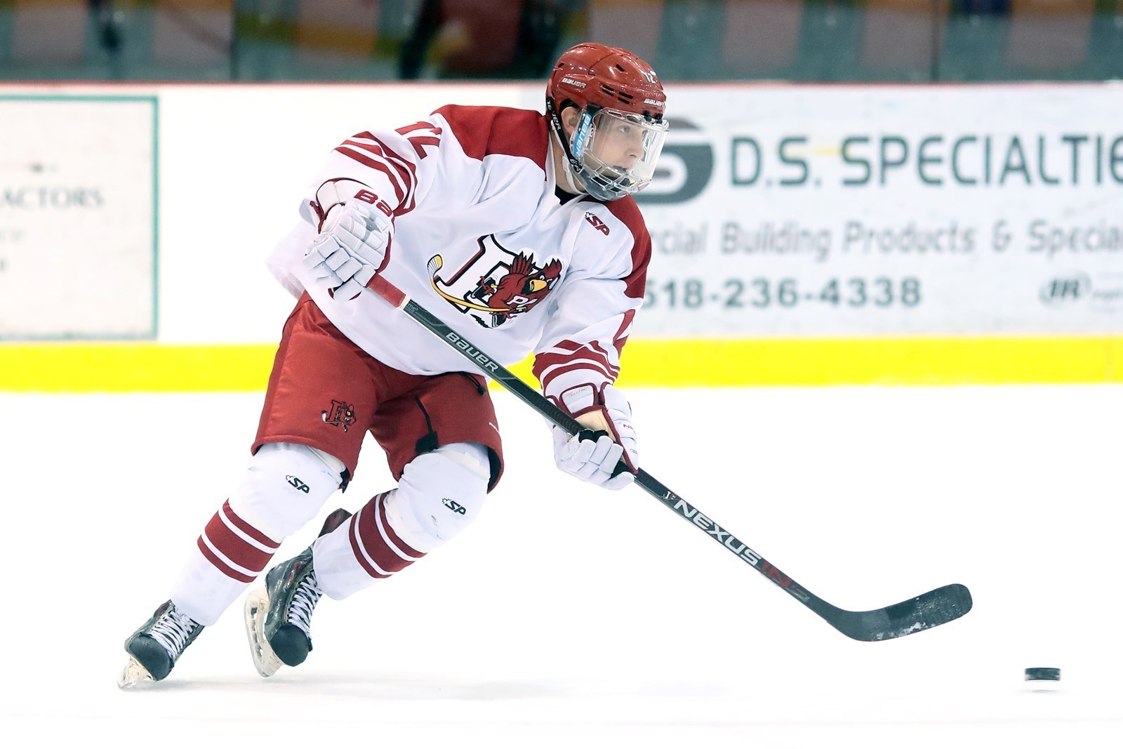 Gavin Yates 201617 Men's Ice Hockey Plattsburgh State Athletics