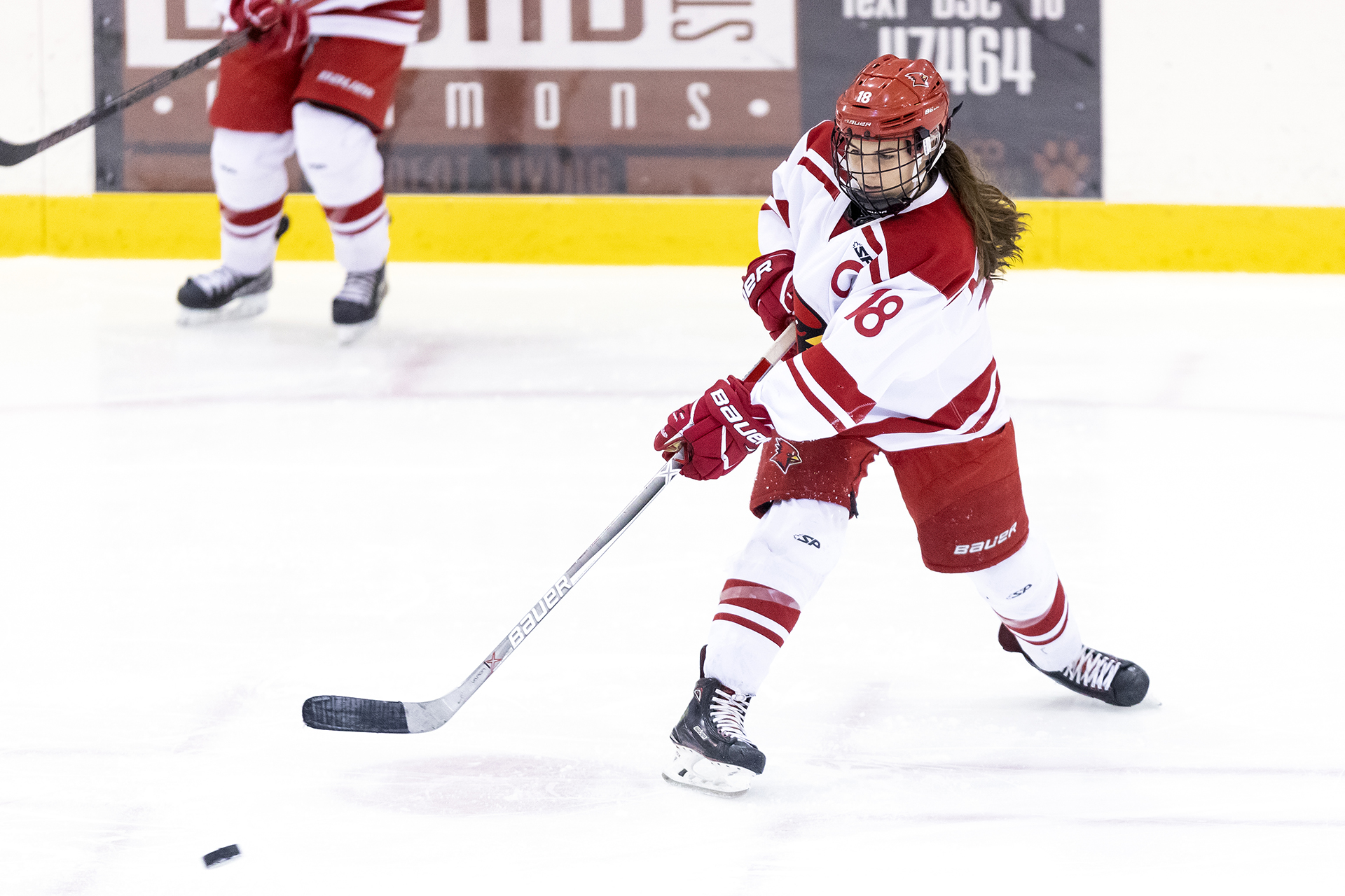 Courtney Moriarty 201819 Women's Ice Hockey Plattsburgh State