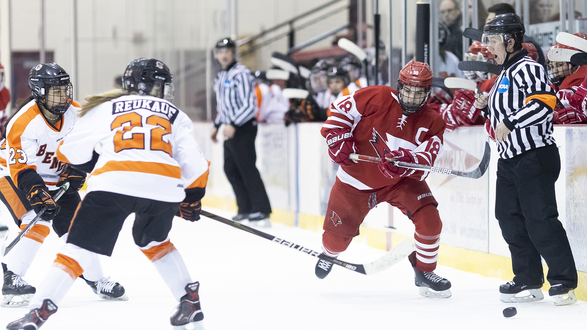 Courtney Moriarty 201819 Women's Ice Hockey Plattsburgh State