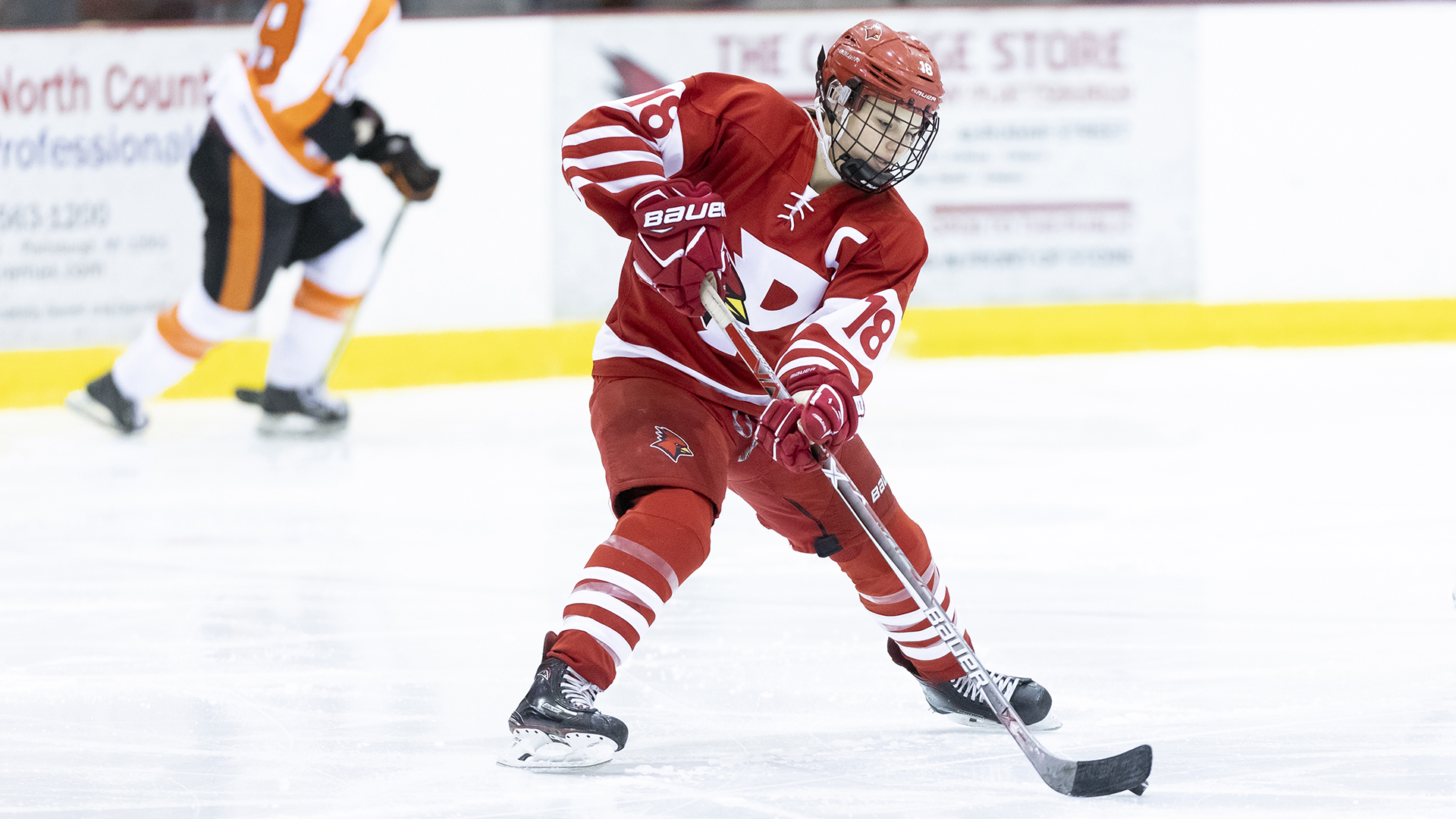 Courtney Moriarty 201819 Women's Ice Hockey Plattsburgh State