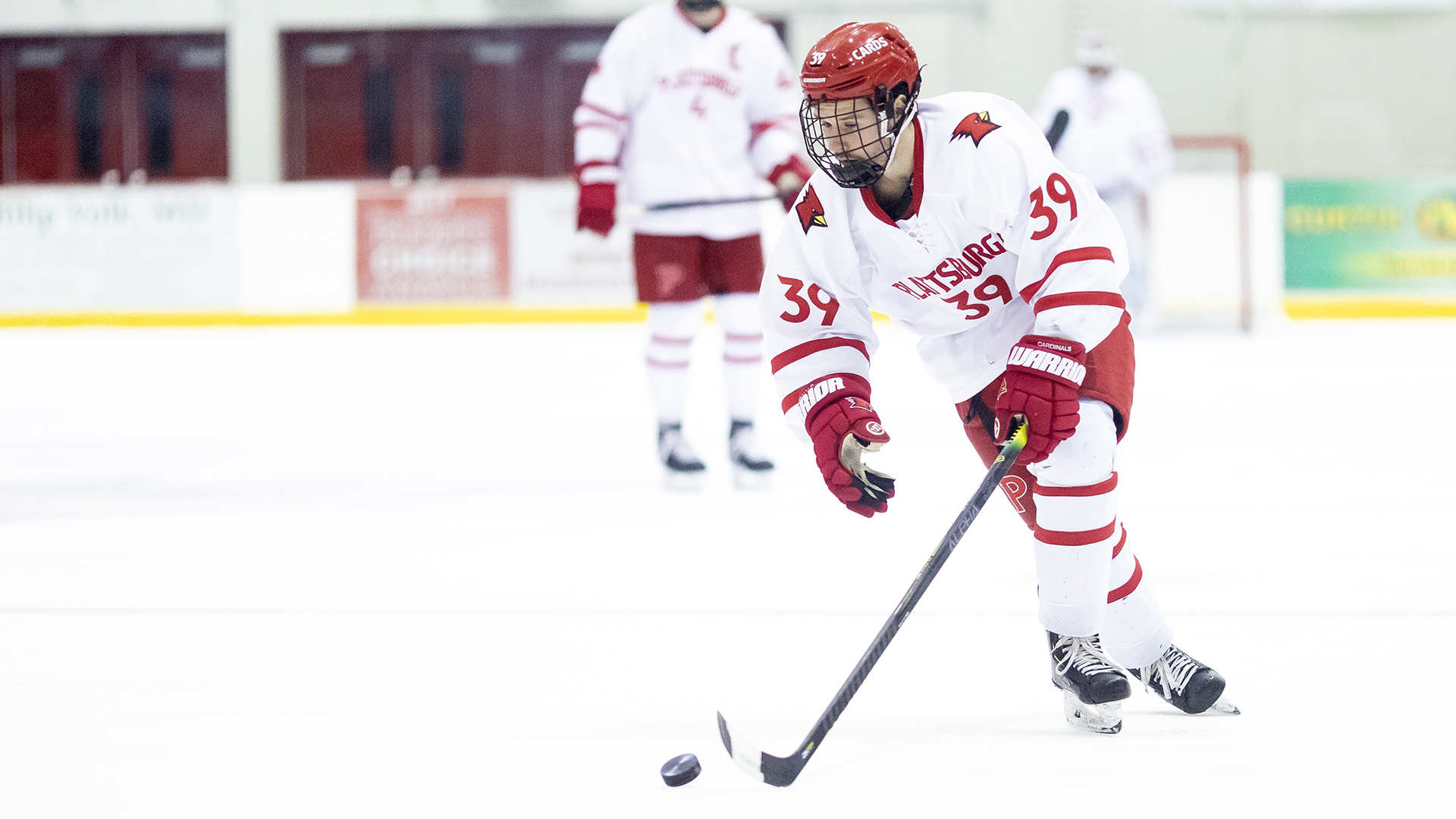 Liam Lawson 202021 Men's Ice Hockey Plattsburgh State Athletics