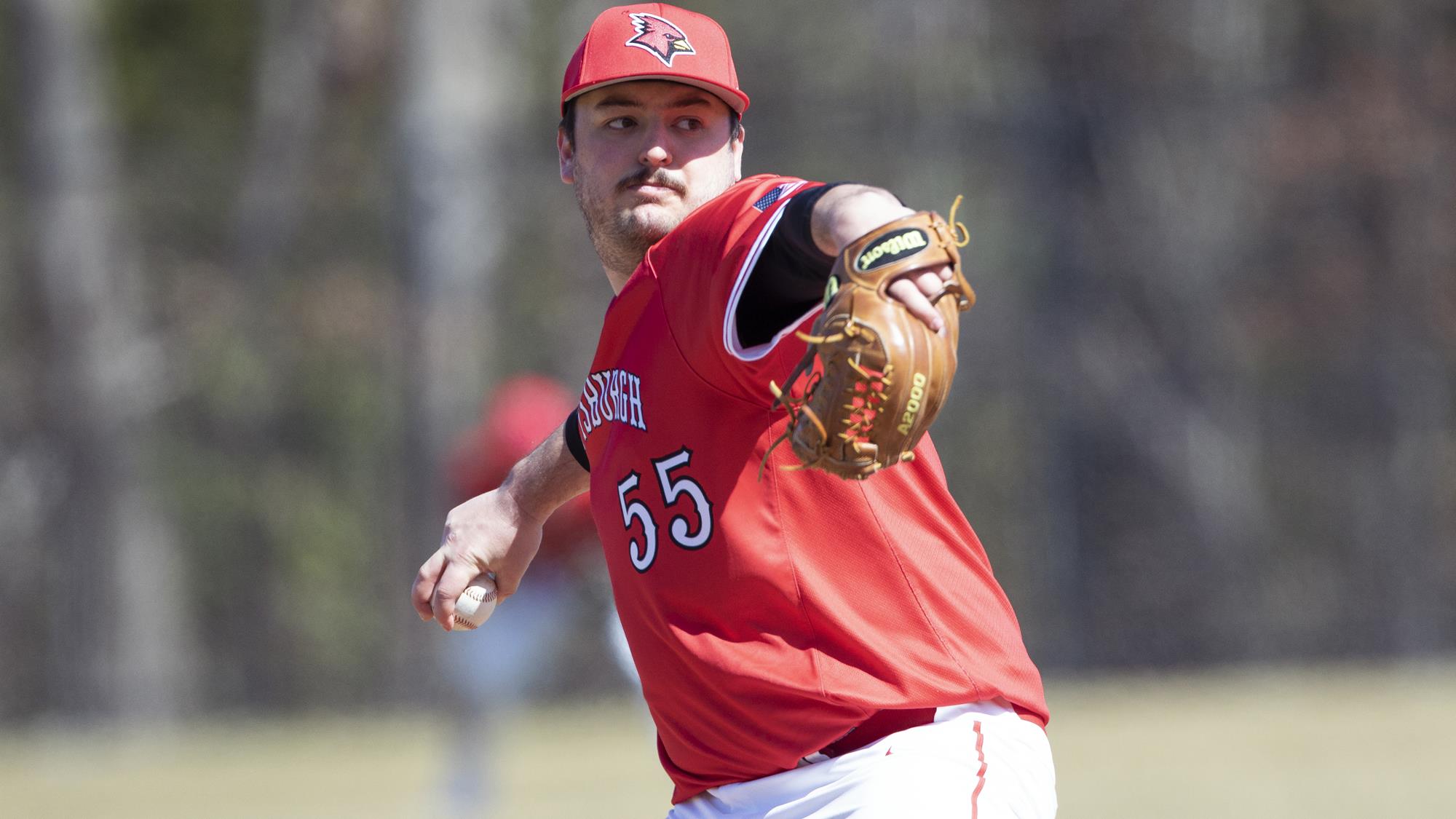 Peter Gregory - 2022 - Baseball - Plattsburgh State Athletics