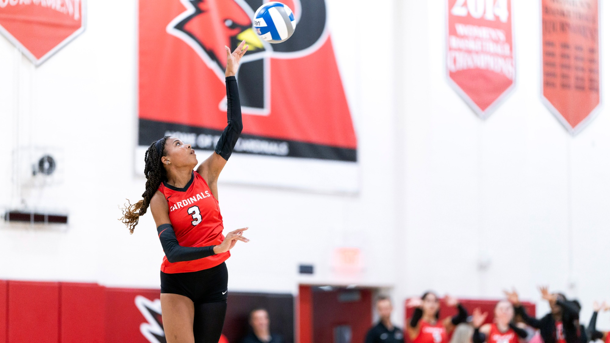 Darby Collyear serving a volleyball