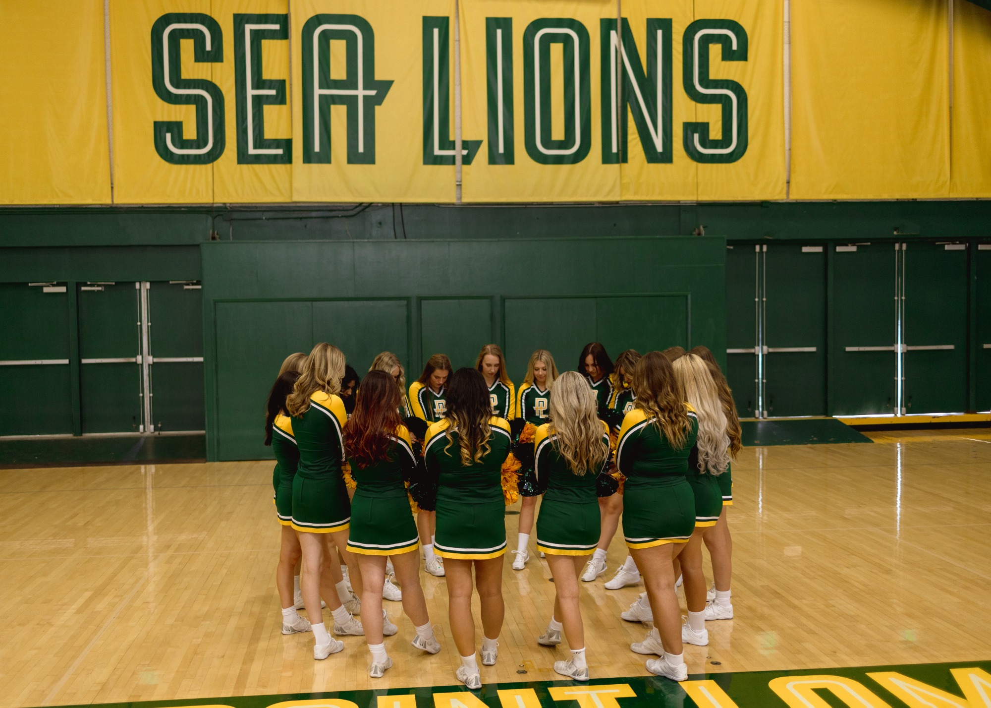 Mission Statement Cheer Image