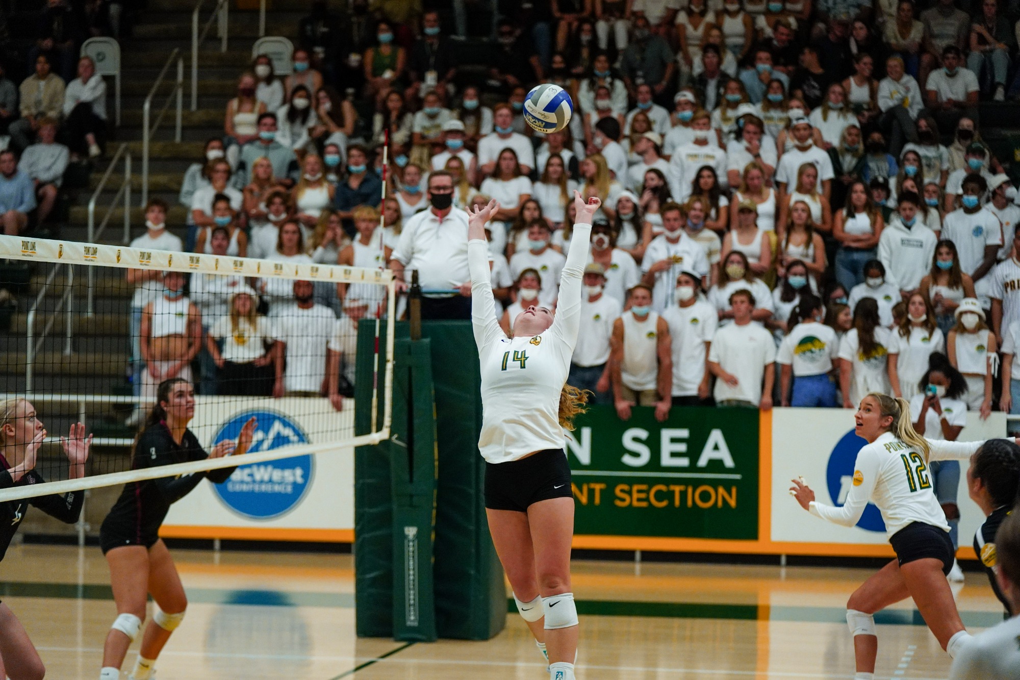 Lauren Phillips Women's Volleyball PLNU Athletics
