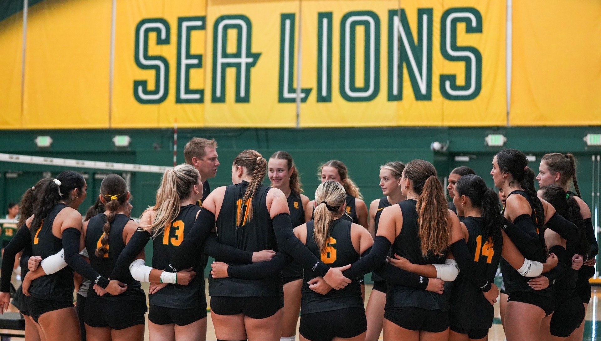 PLNU Volleyball