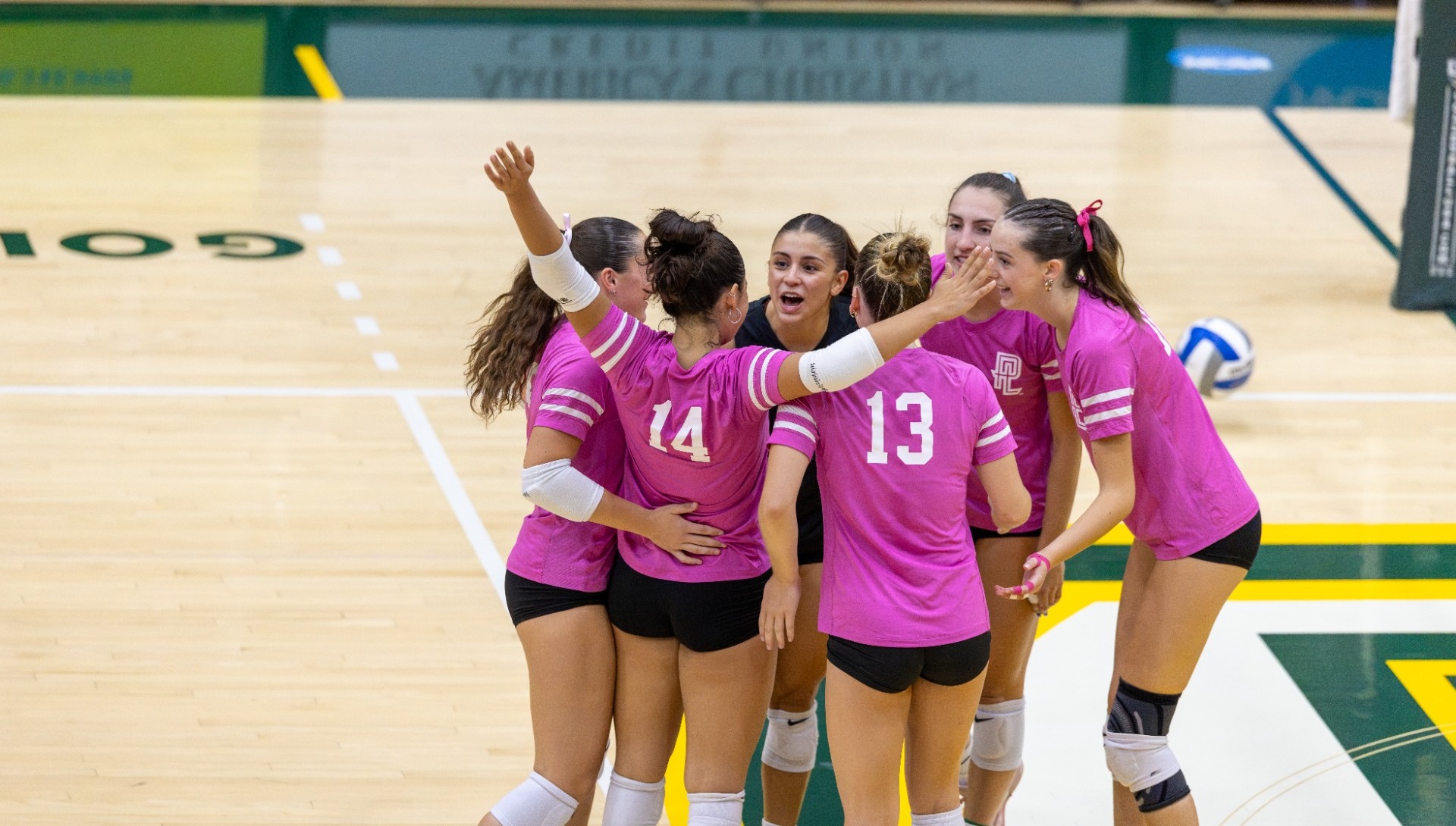PLNU Volleyball Dig Pink