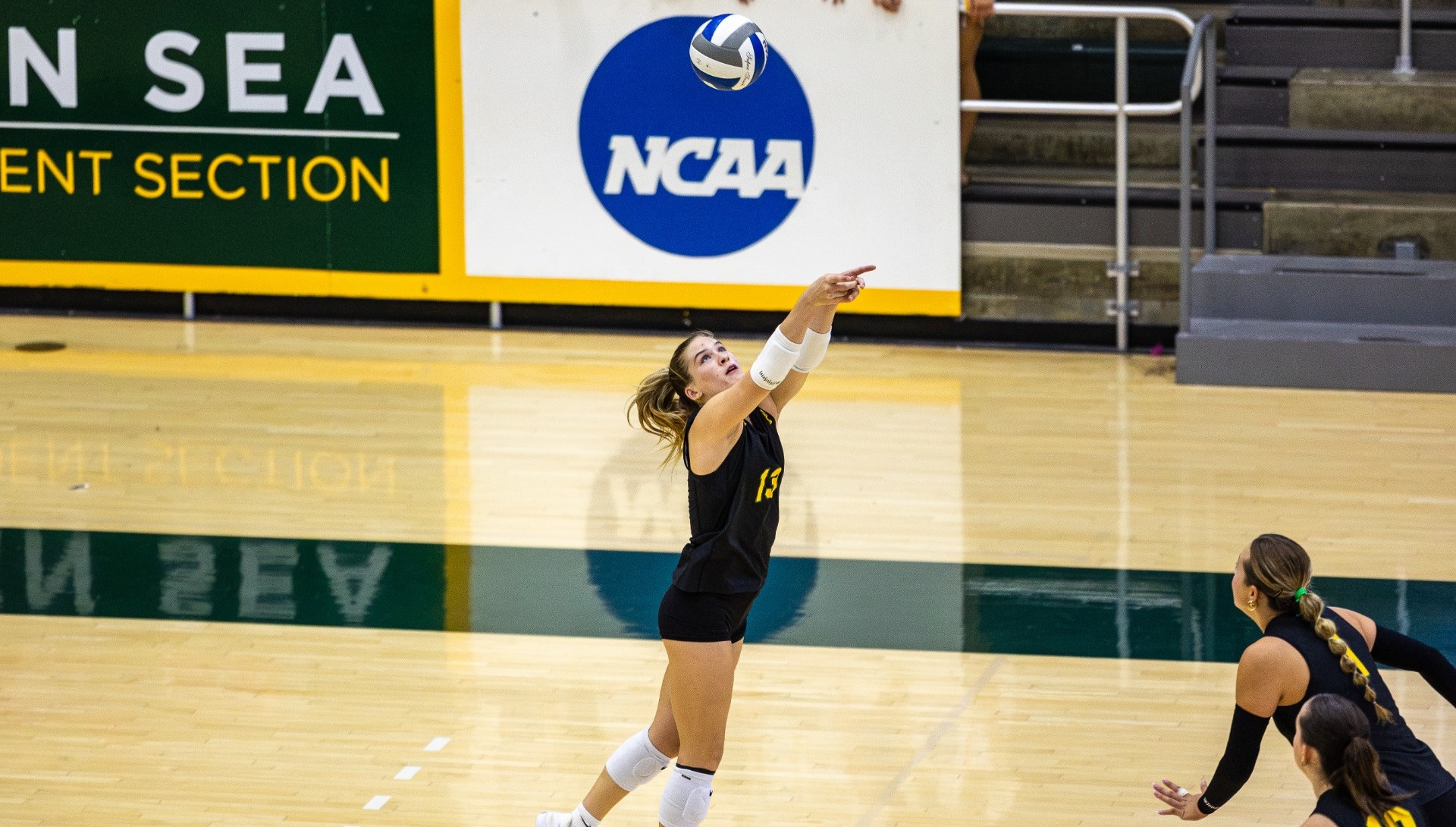 Sophia Baugh