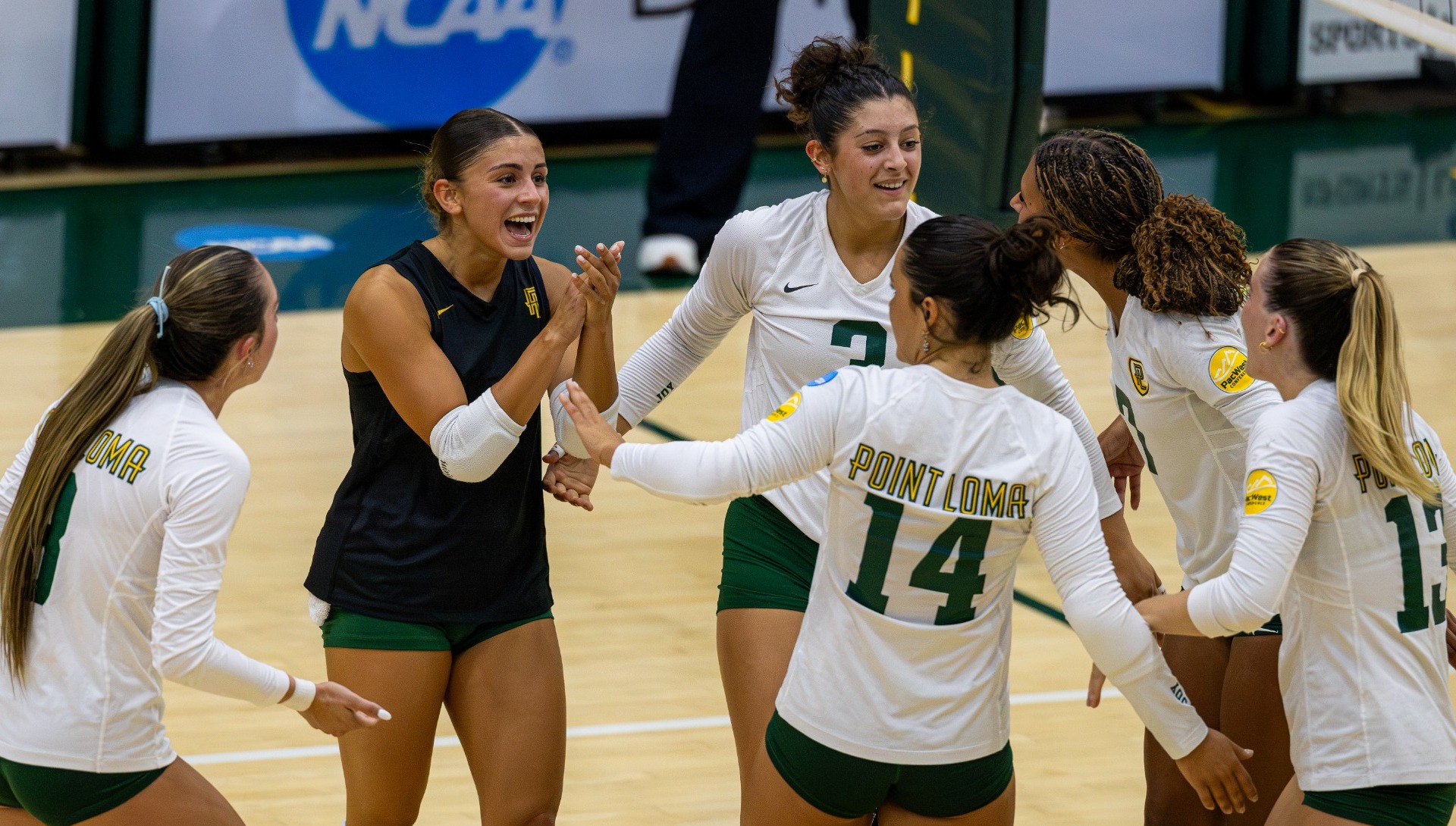 PLNU Volleyball