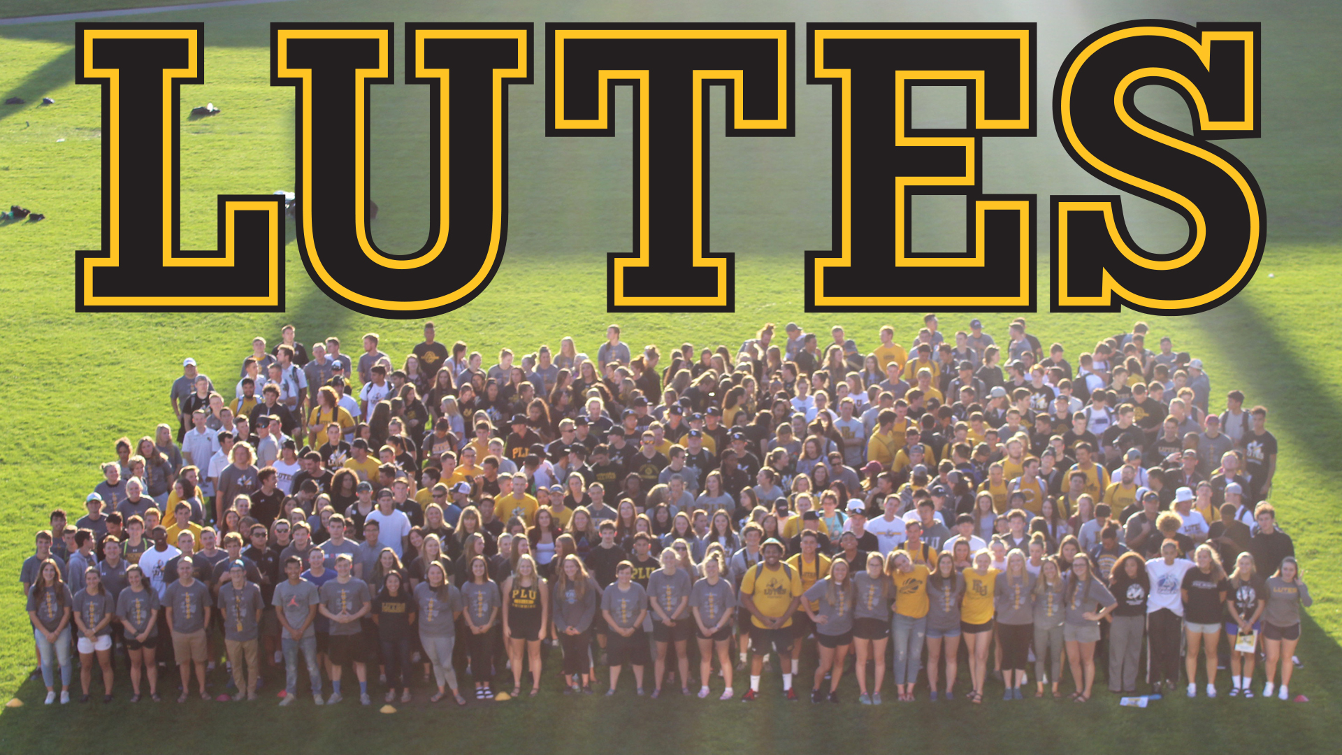 154 Lutes Honored for Academic Excellence Pacific Lutheran University