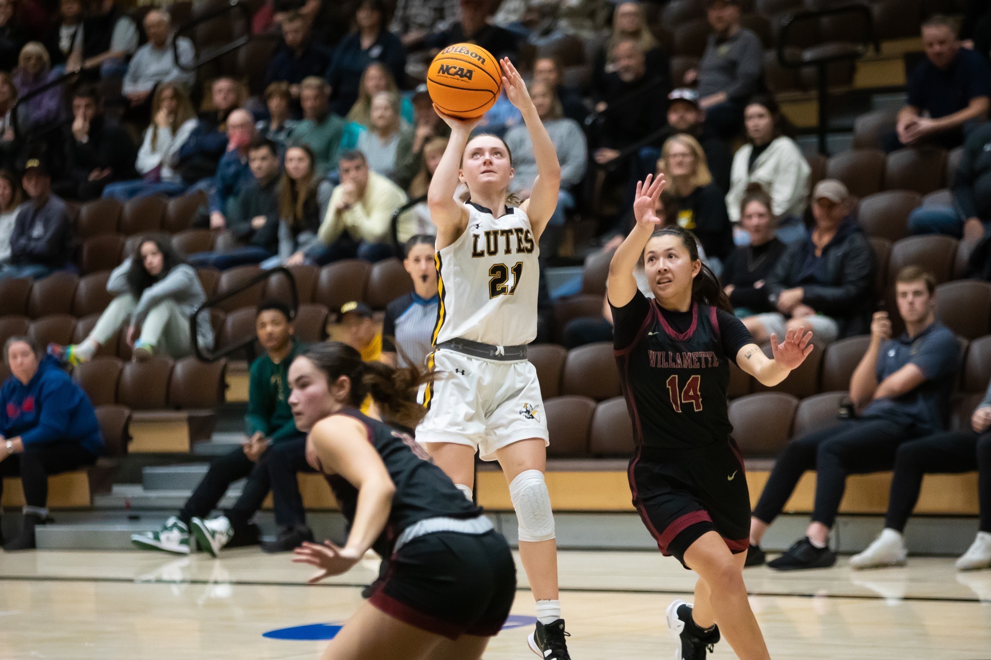 Lutes Get Back in Win Column at Lewis & Clark Pacific Lutheran University Athletics